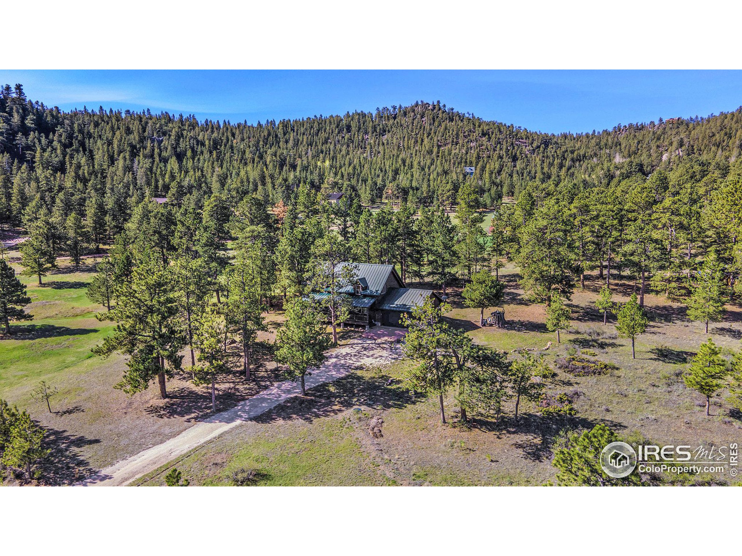 67 Mount Evans Ct