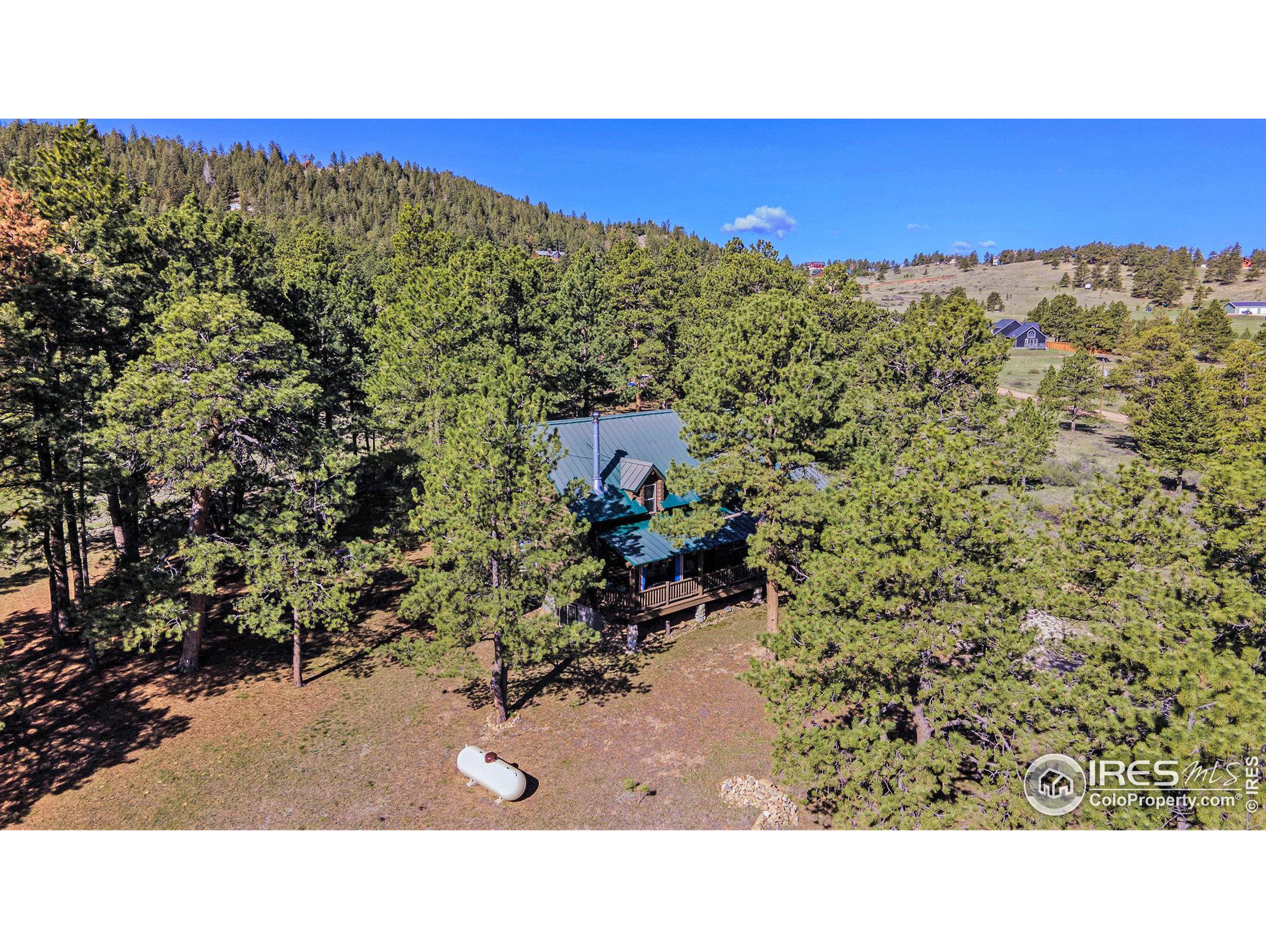 67 Mount Evans Ct