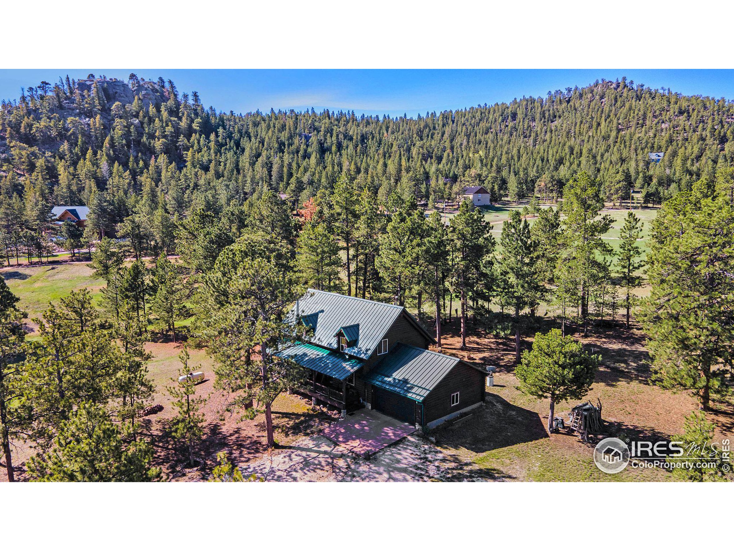 67 Mount Evans Ct