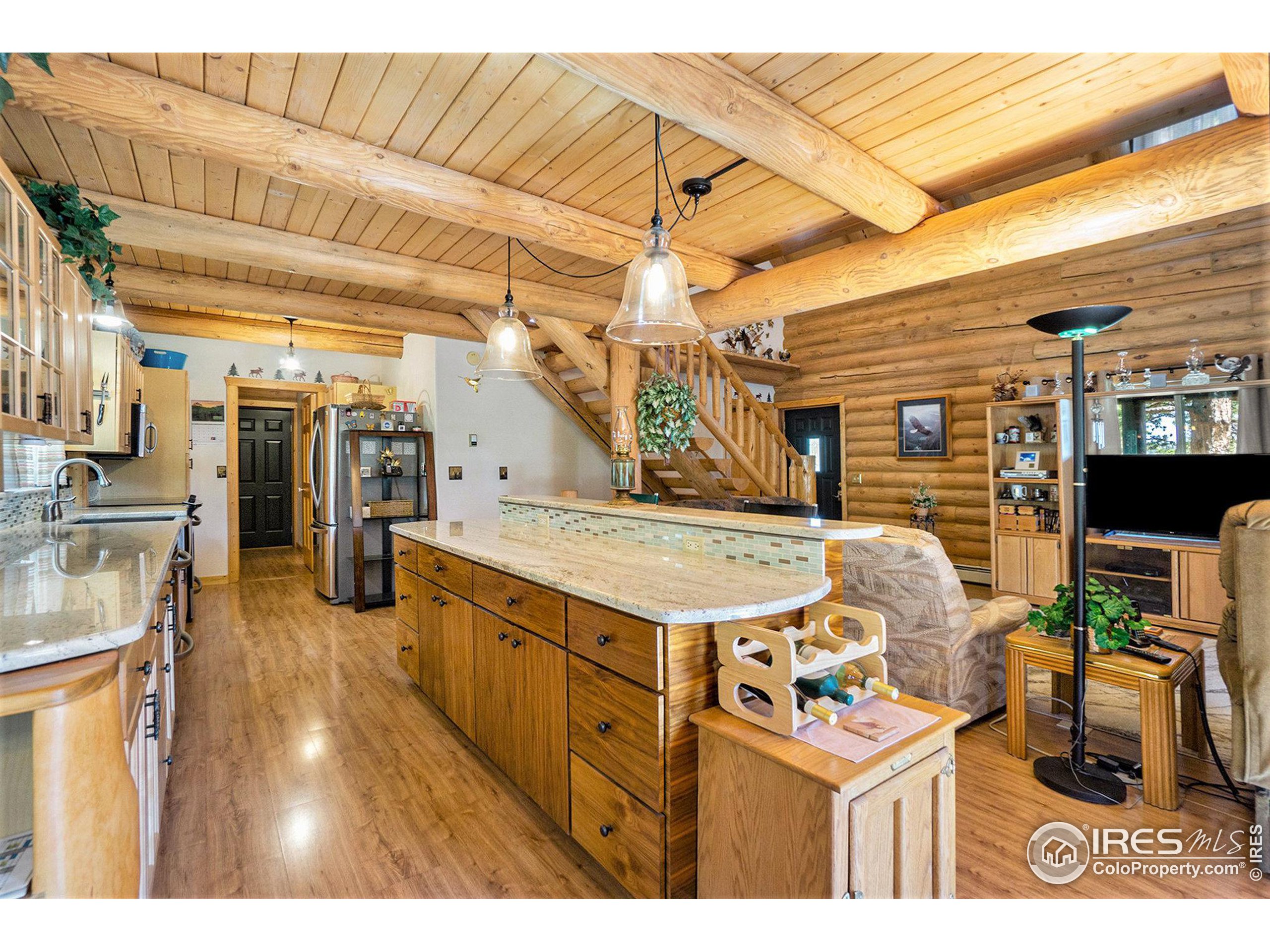 67 Mount Evans Ct