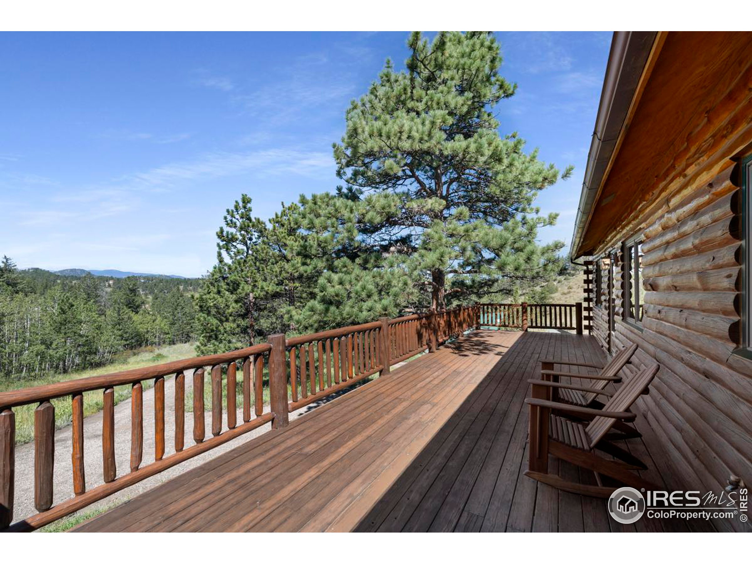 49 Mule Deer Ridge Ct