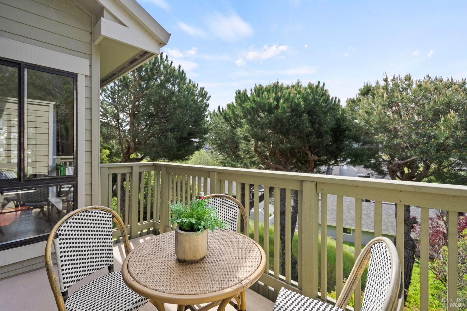 56 Eucalyptus Knoll St