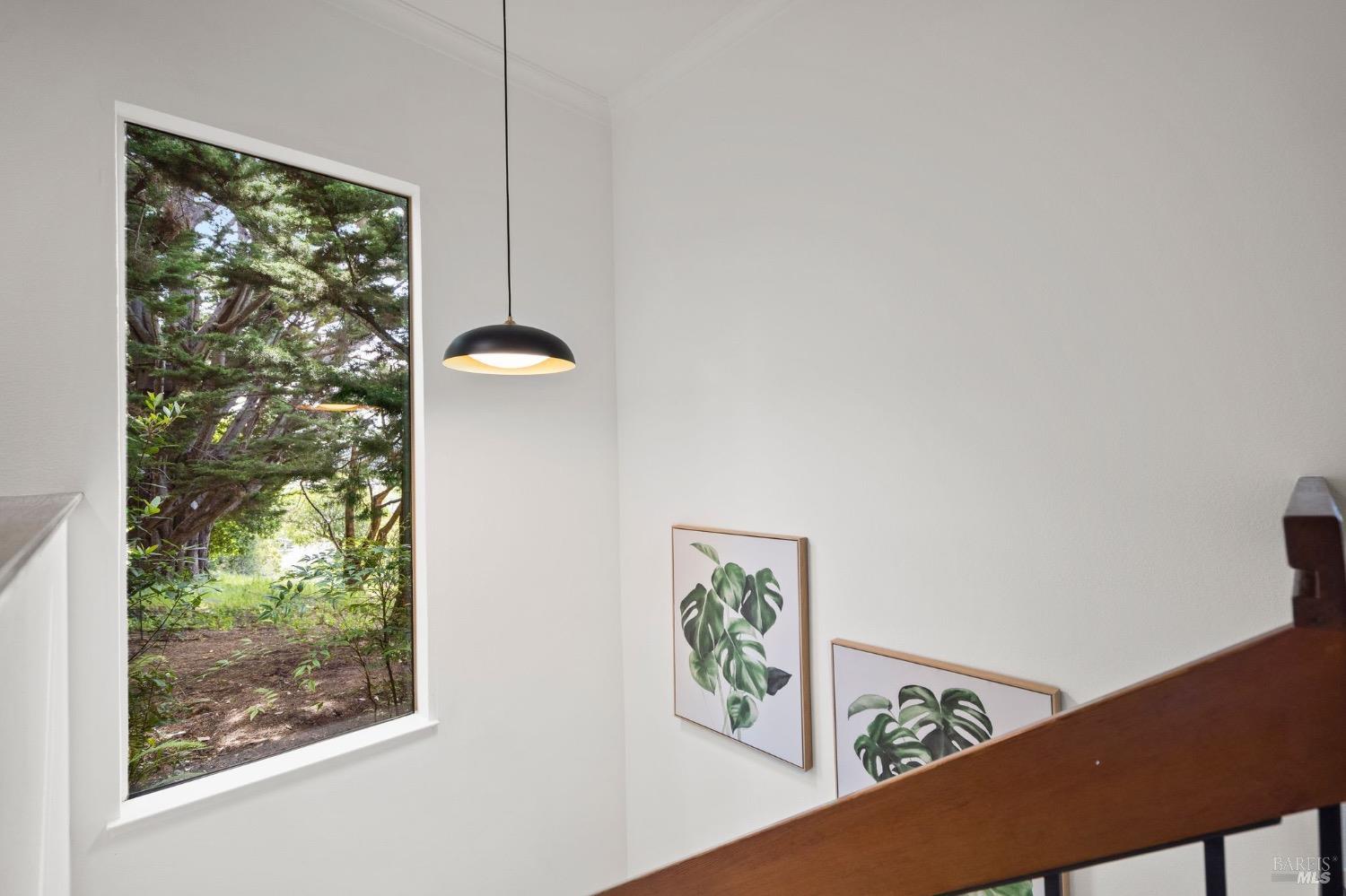 56 Eucalyptus Knoll St