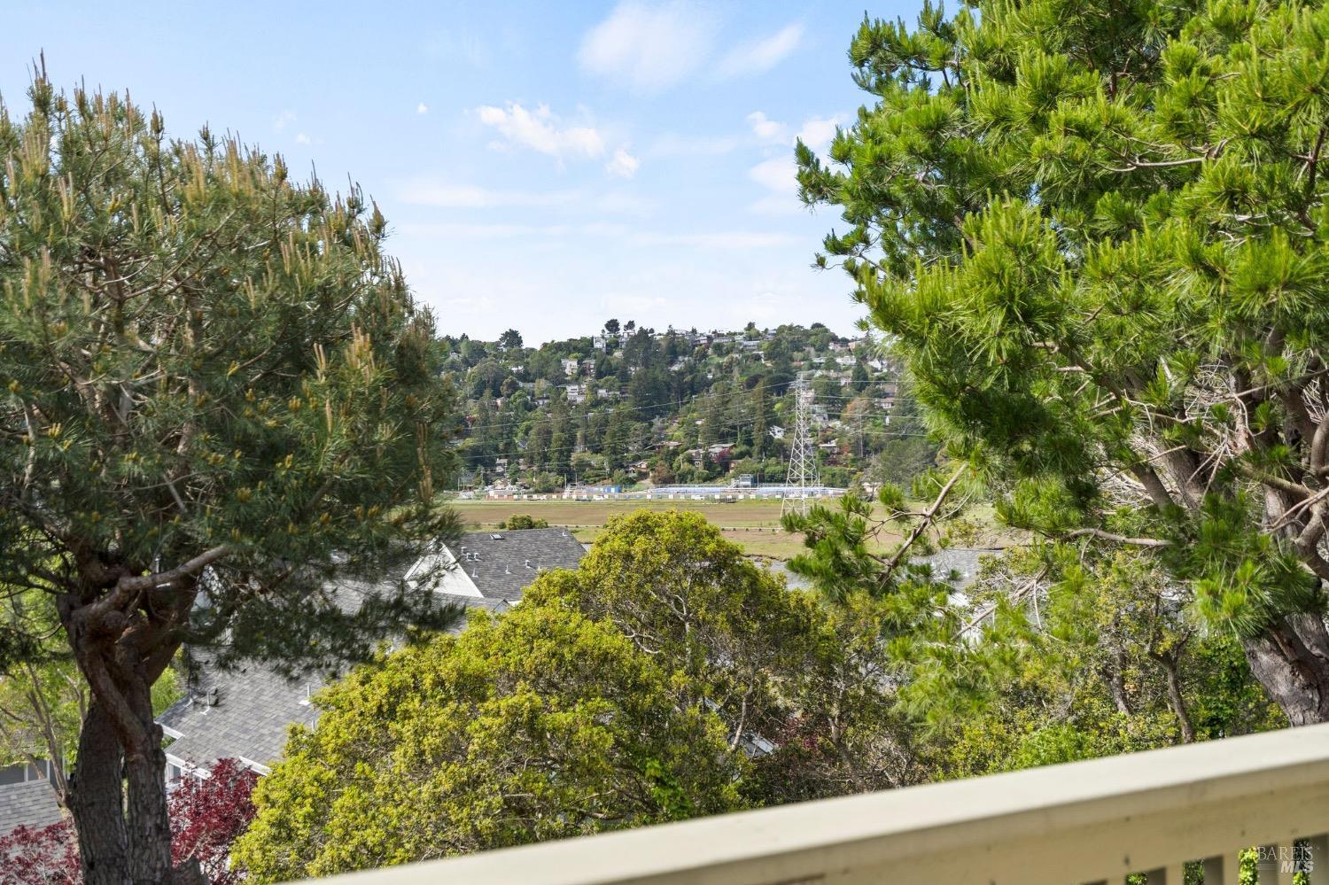 56 Eucalyptus Knoll St