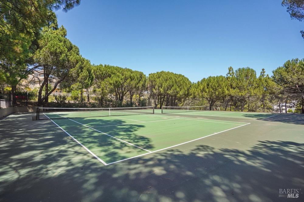 56 Eucalyptus Knoll St