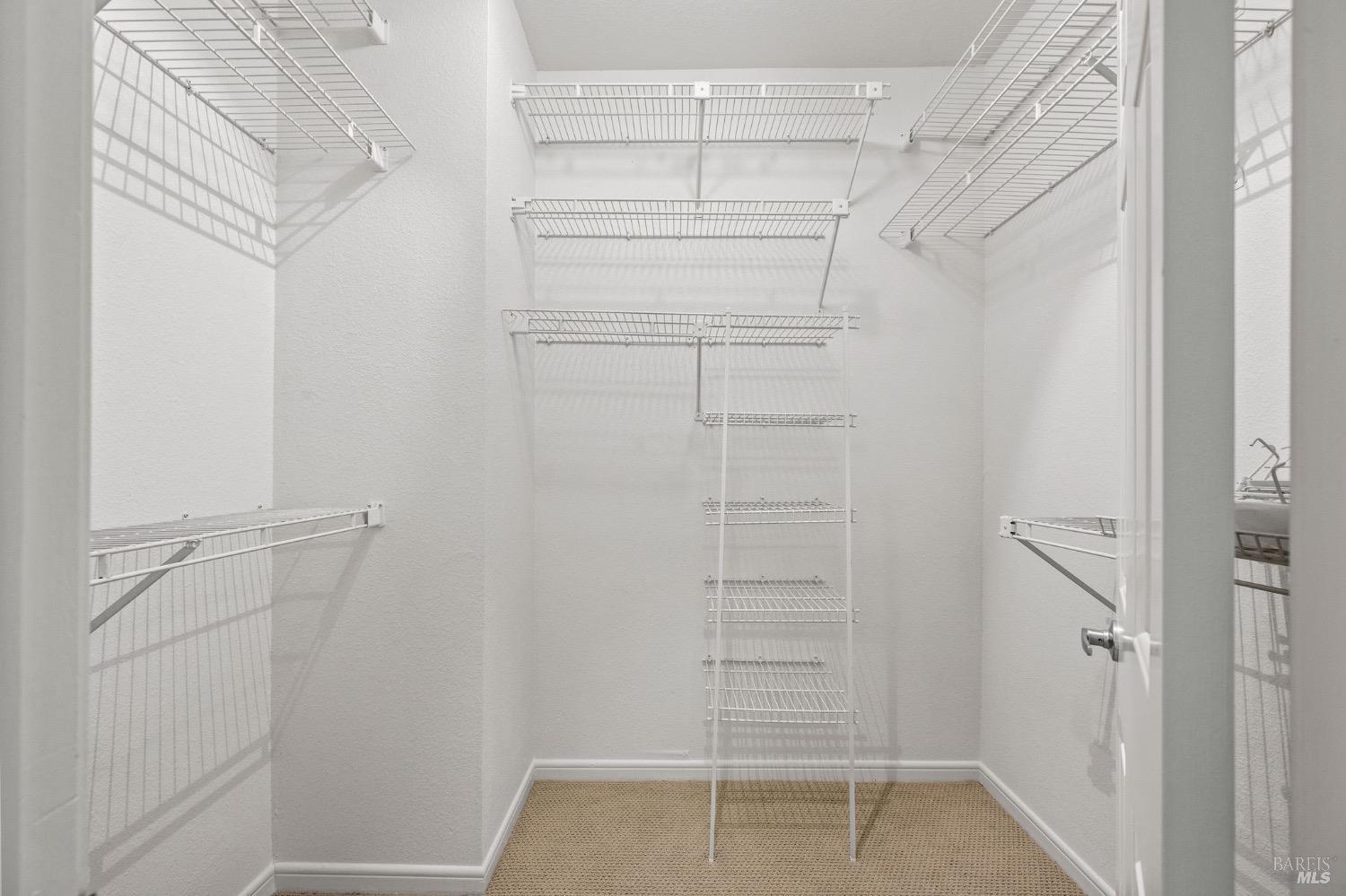 113 Eucalyptus Knoll St