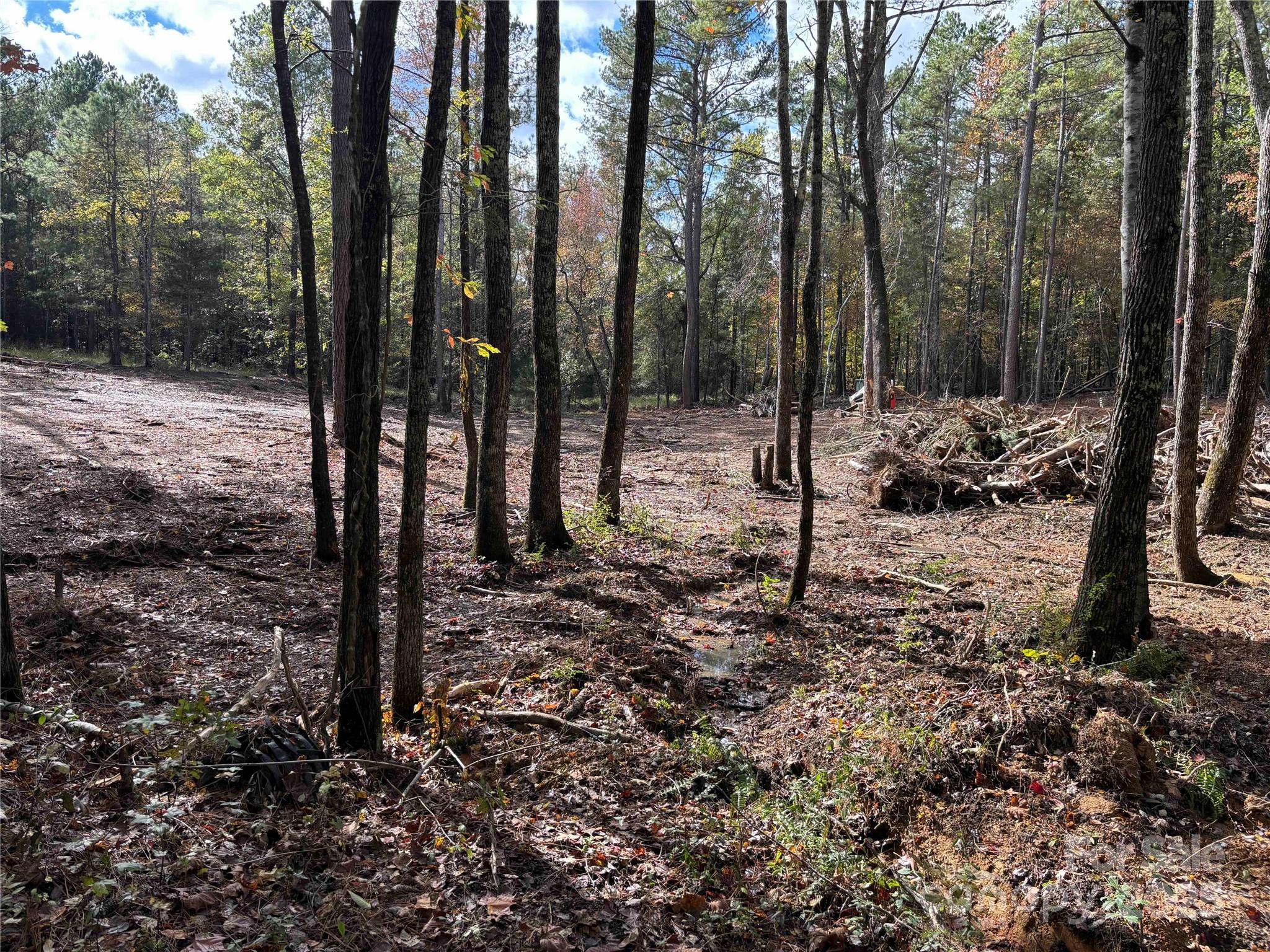 TBD Sunnyside Drive Unit: 14 & 15