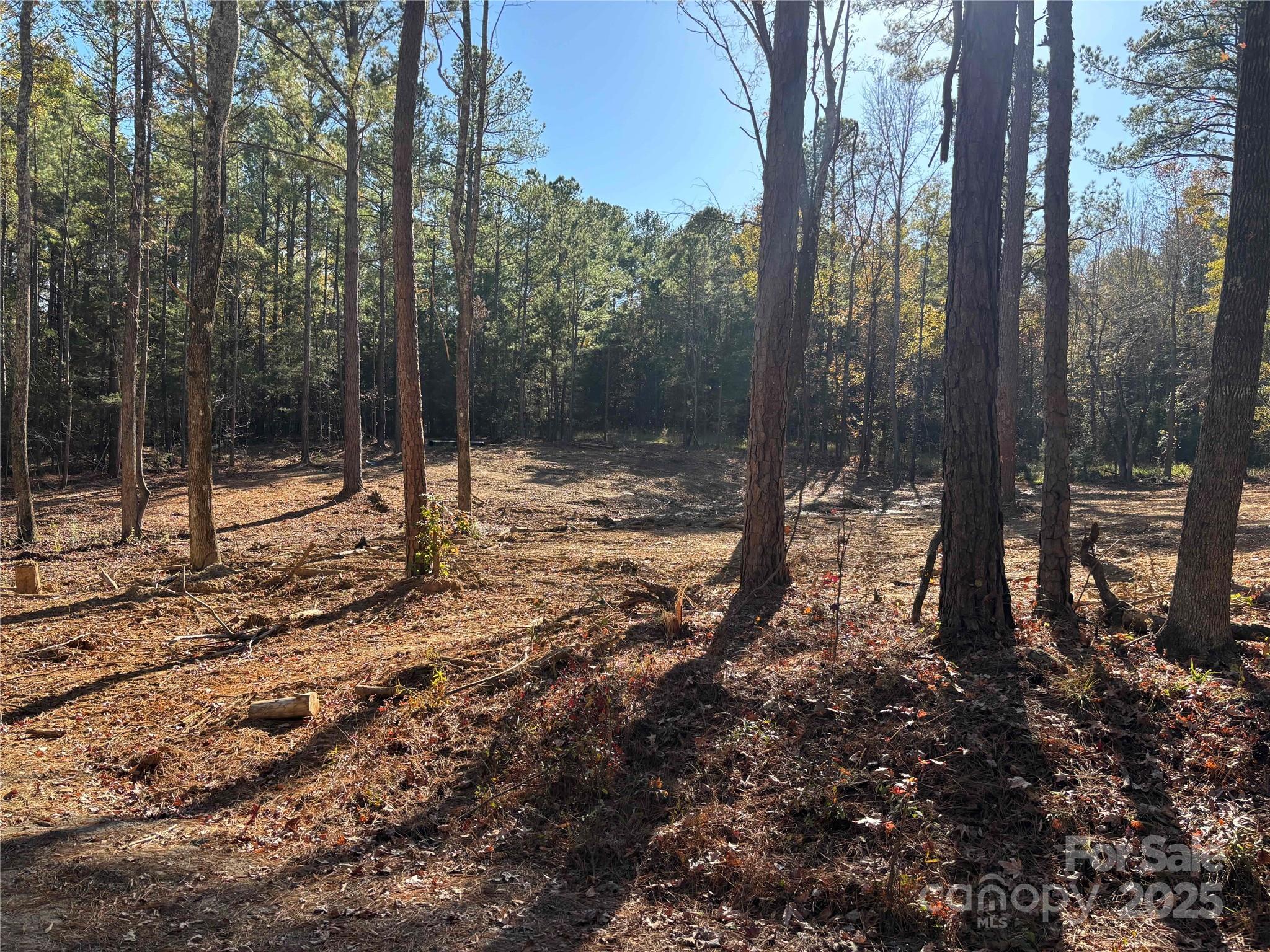 TBD Sunnyside Drive Unit: 14 & 15