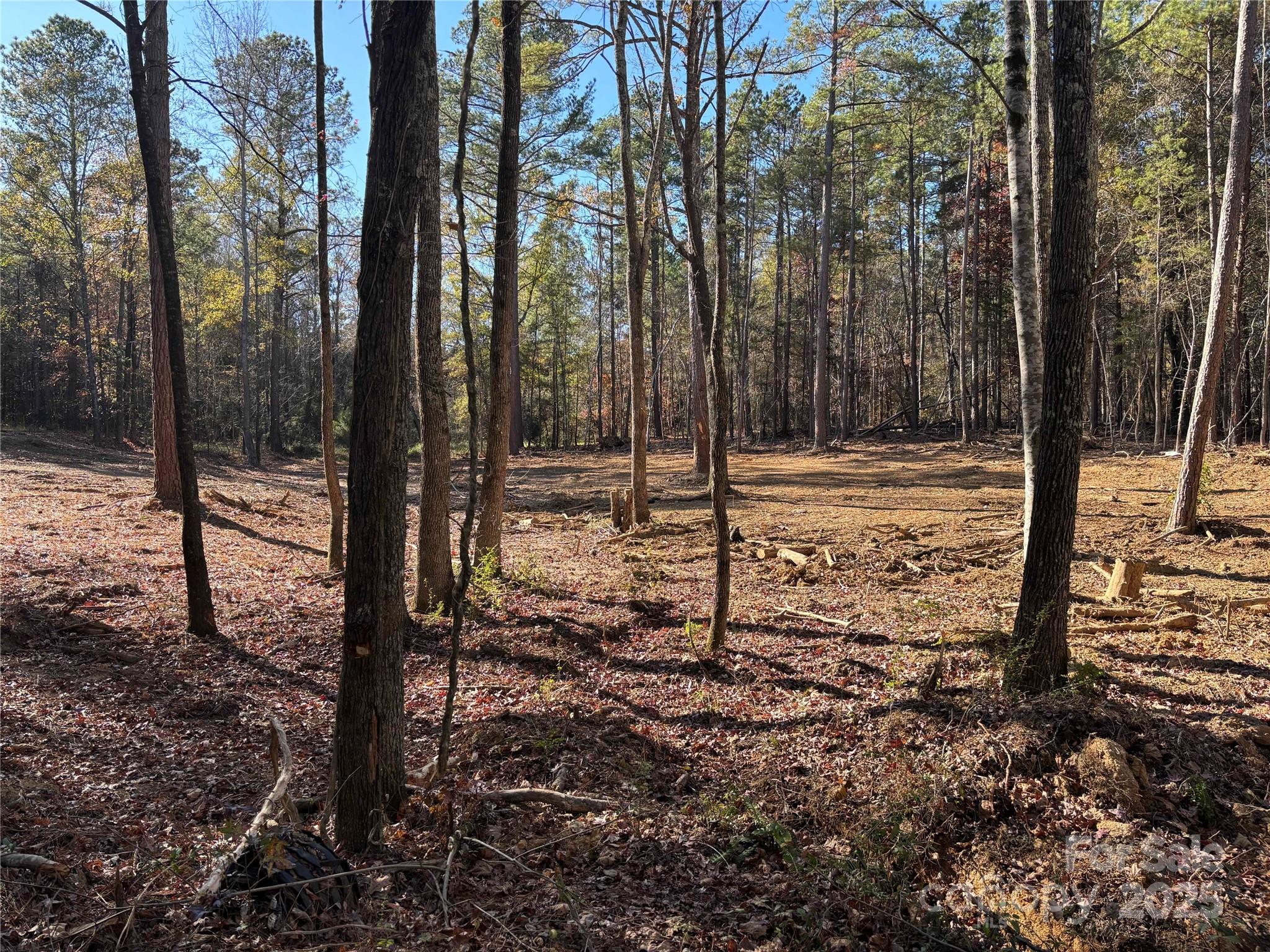 TBD Sunnyside Drive Unit: 14 & 15