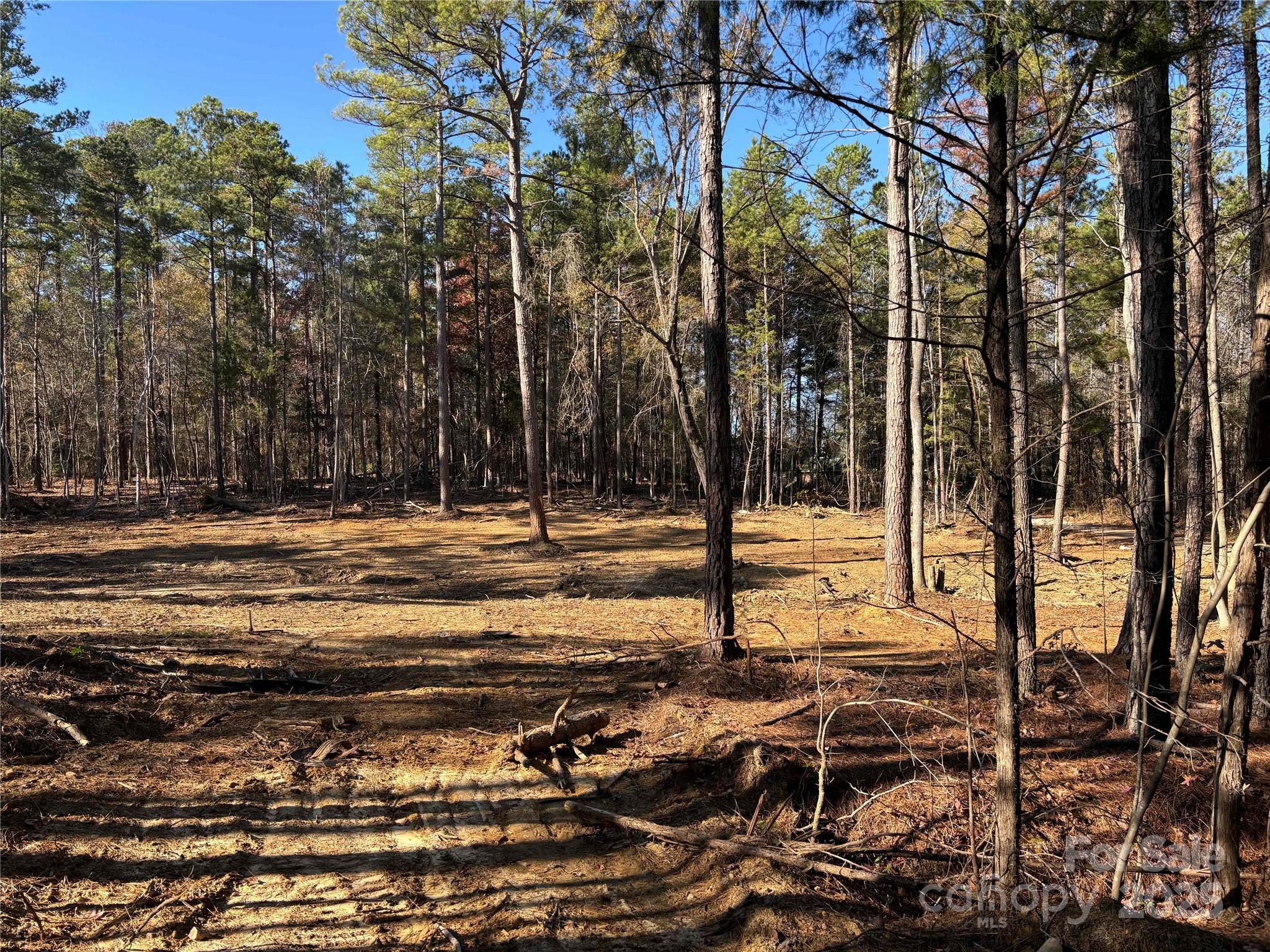 TBD Sunnyside Drive Unit: 14 & 15