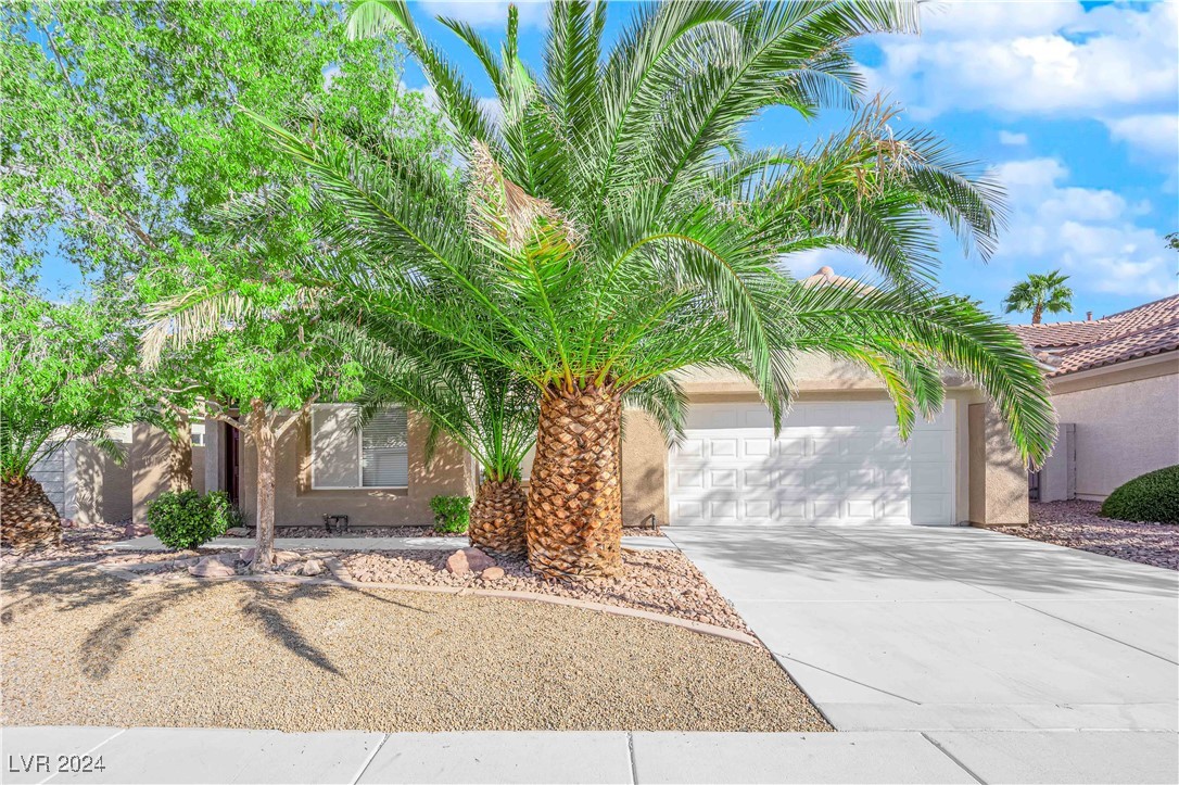 2918 Matese Drive