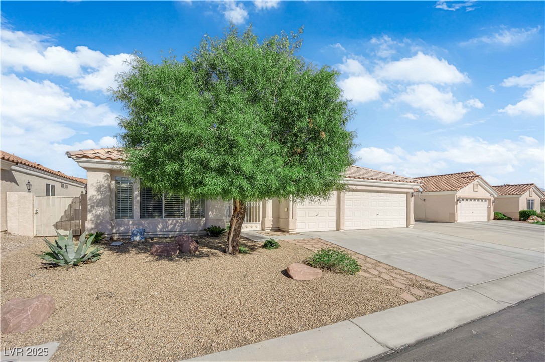 4920 Encore Paradise Avenue