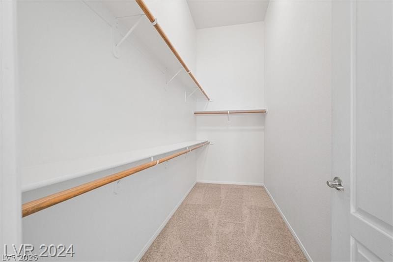 3540 Cactus Shadow Street 204