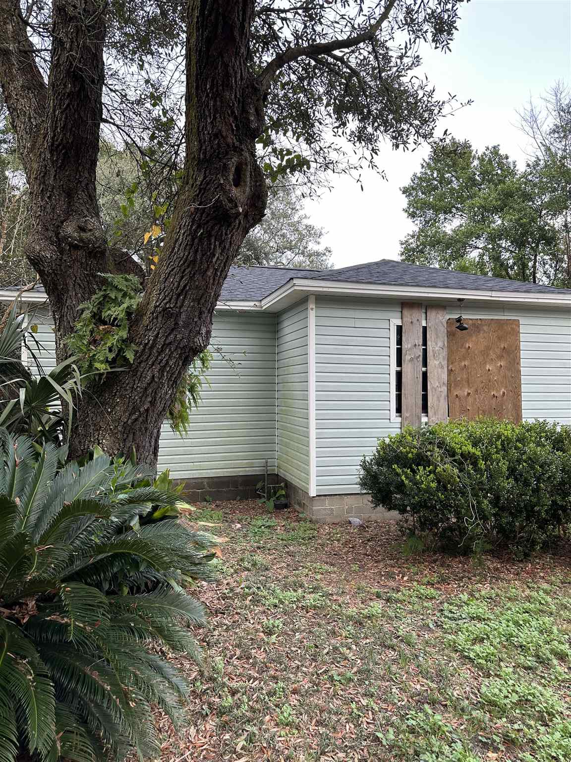 116 Ruberia Ave