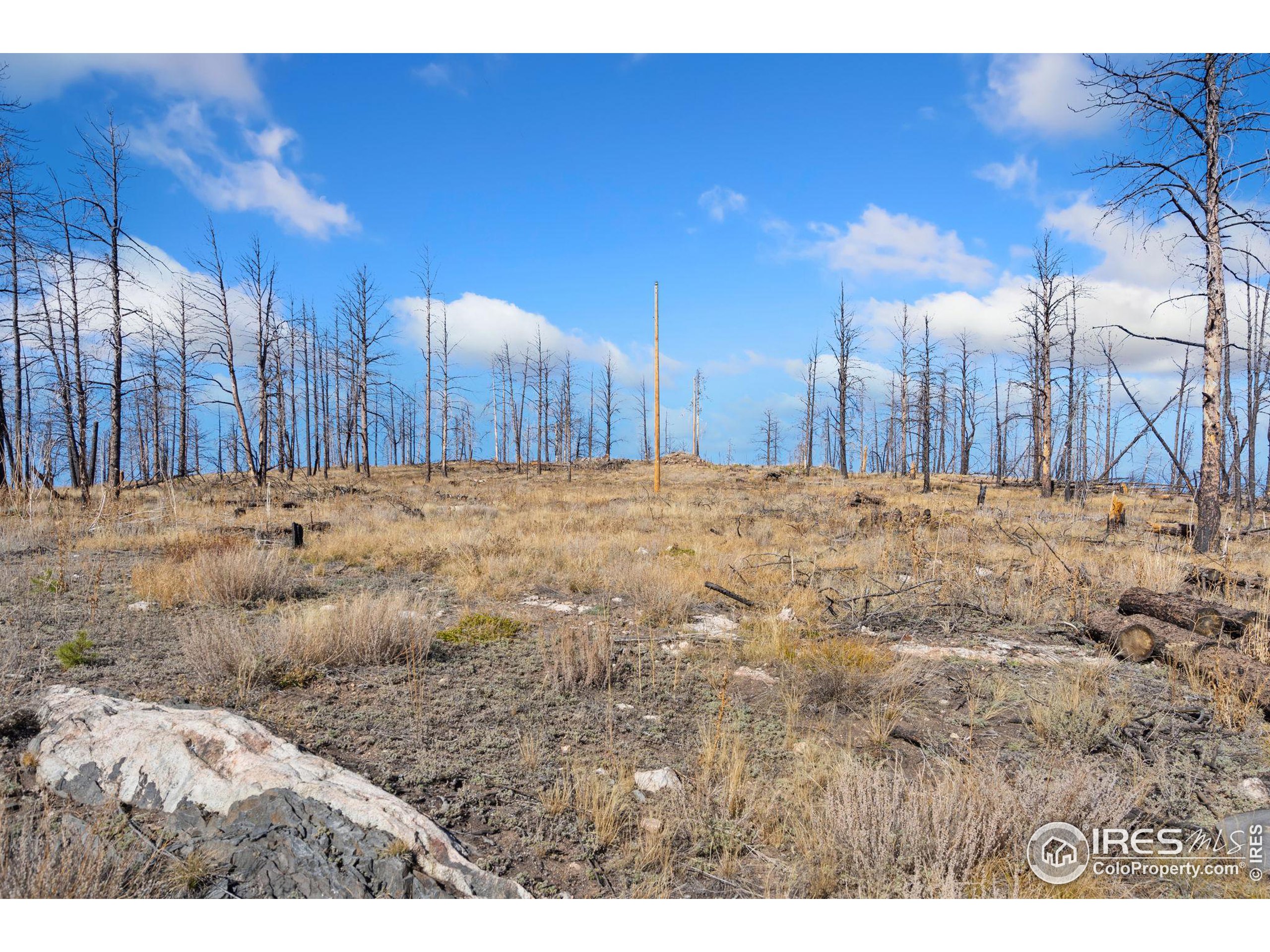 715 Monument Gulch Way