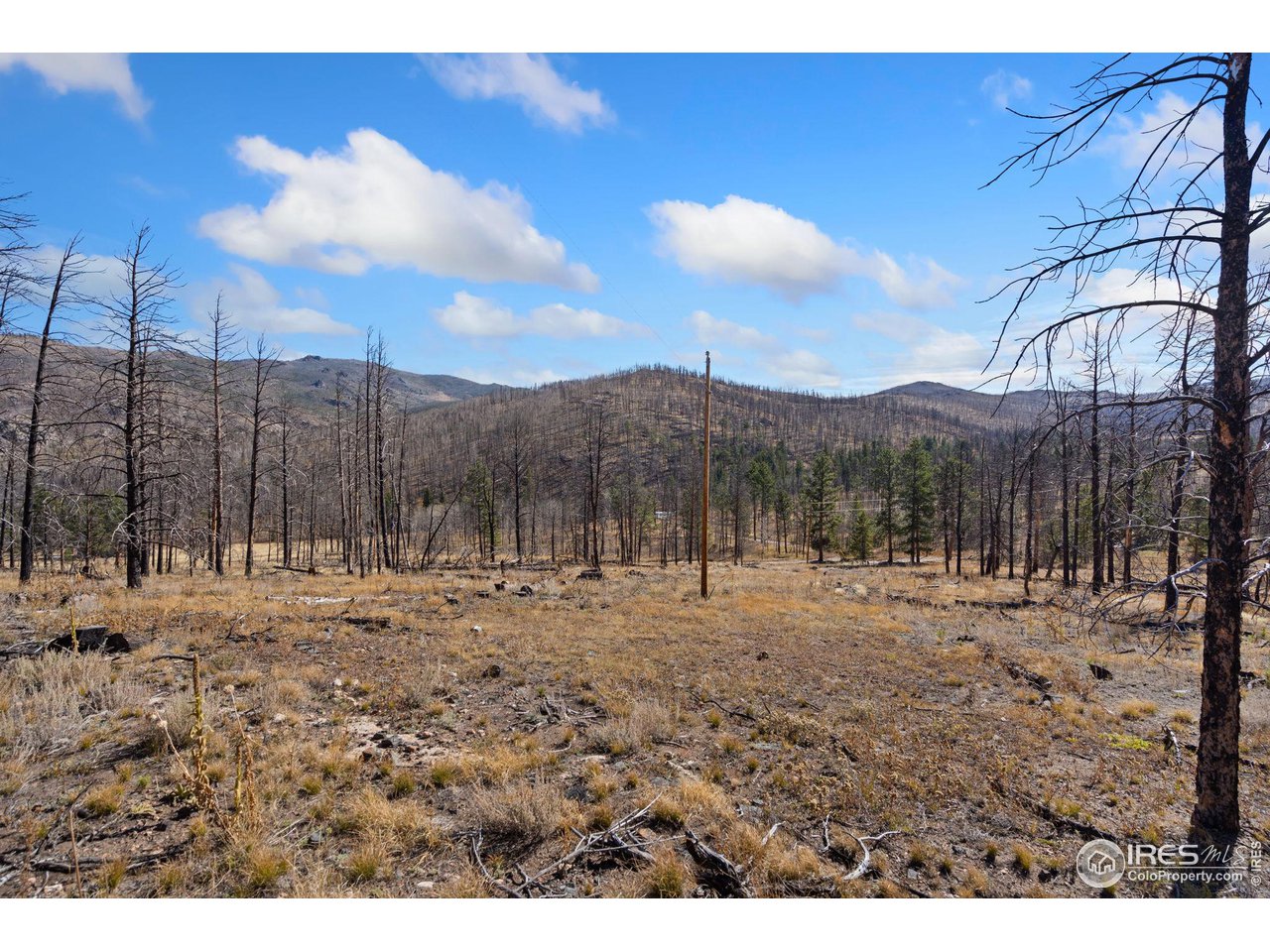 715 Monument Gulch Way