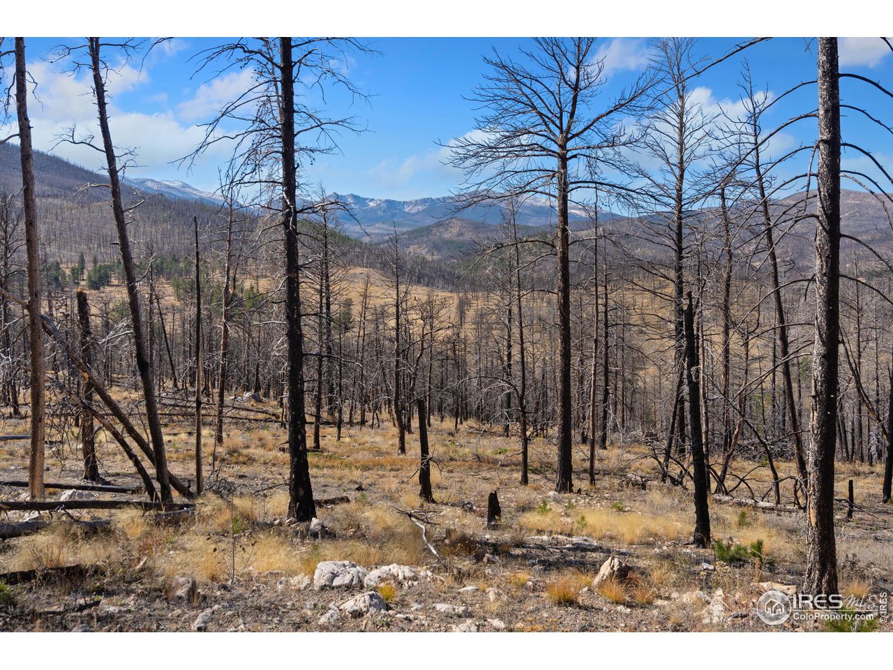 715 Monument Gulch Way