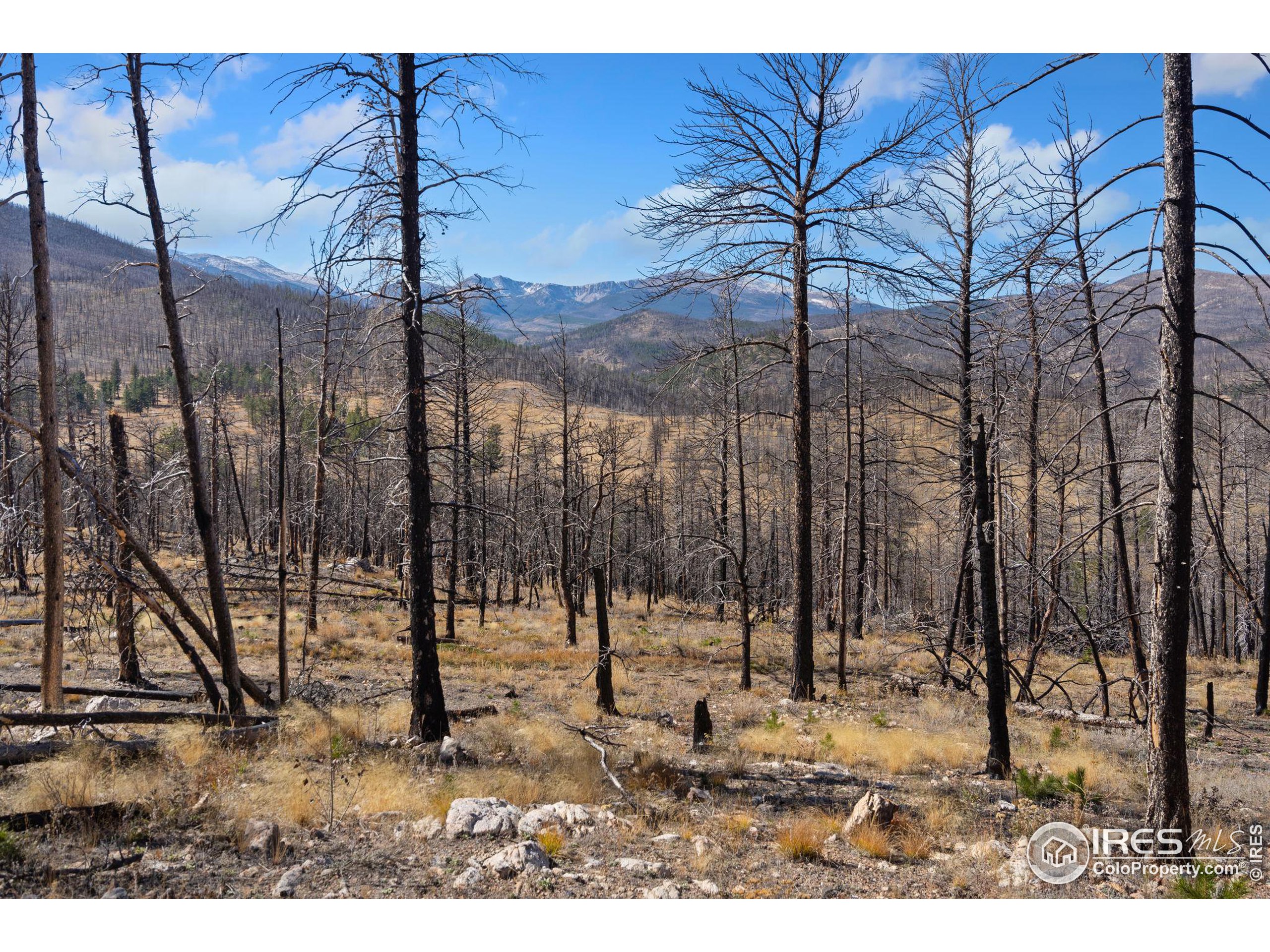 715 Monument Gulch Way