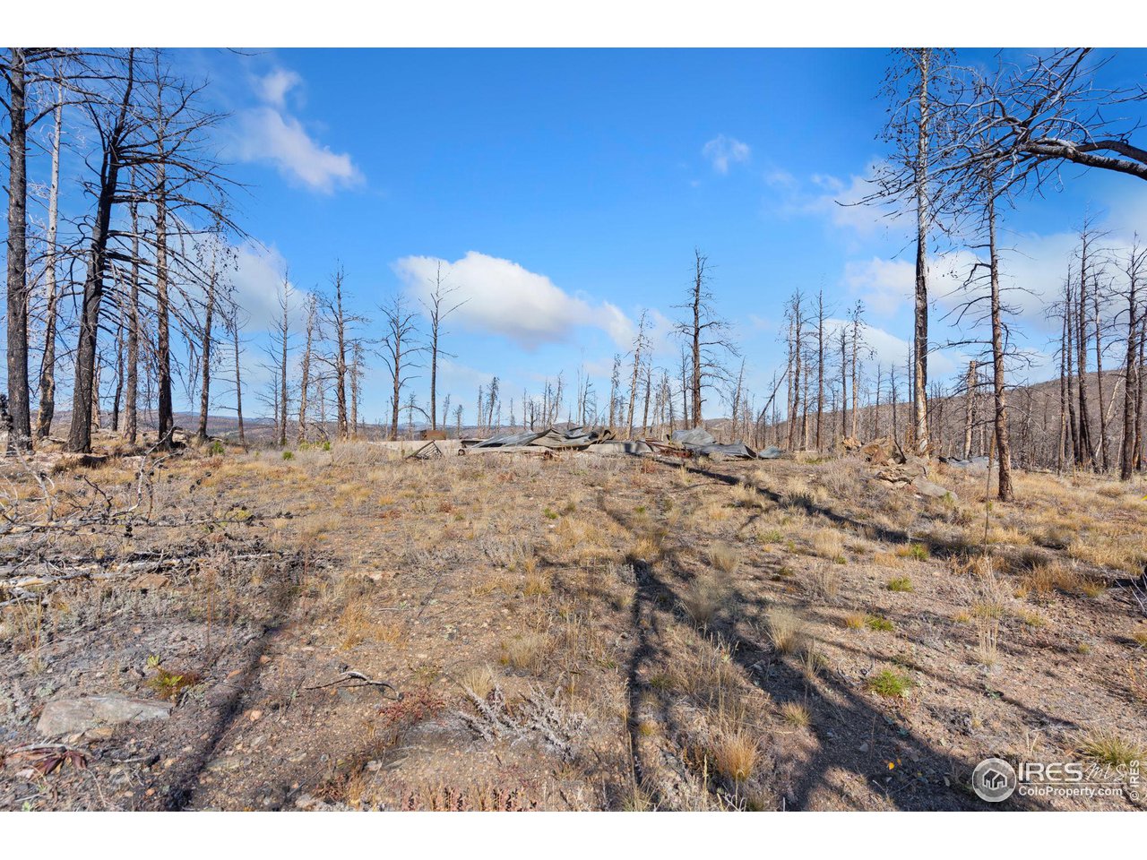 715 Monument Gulch Way