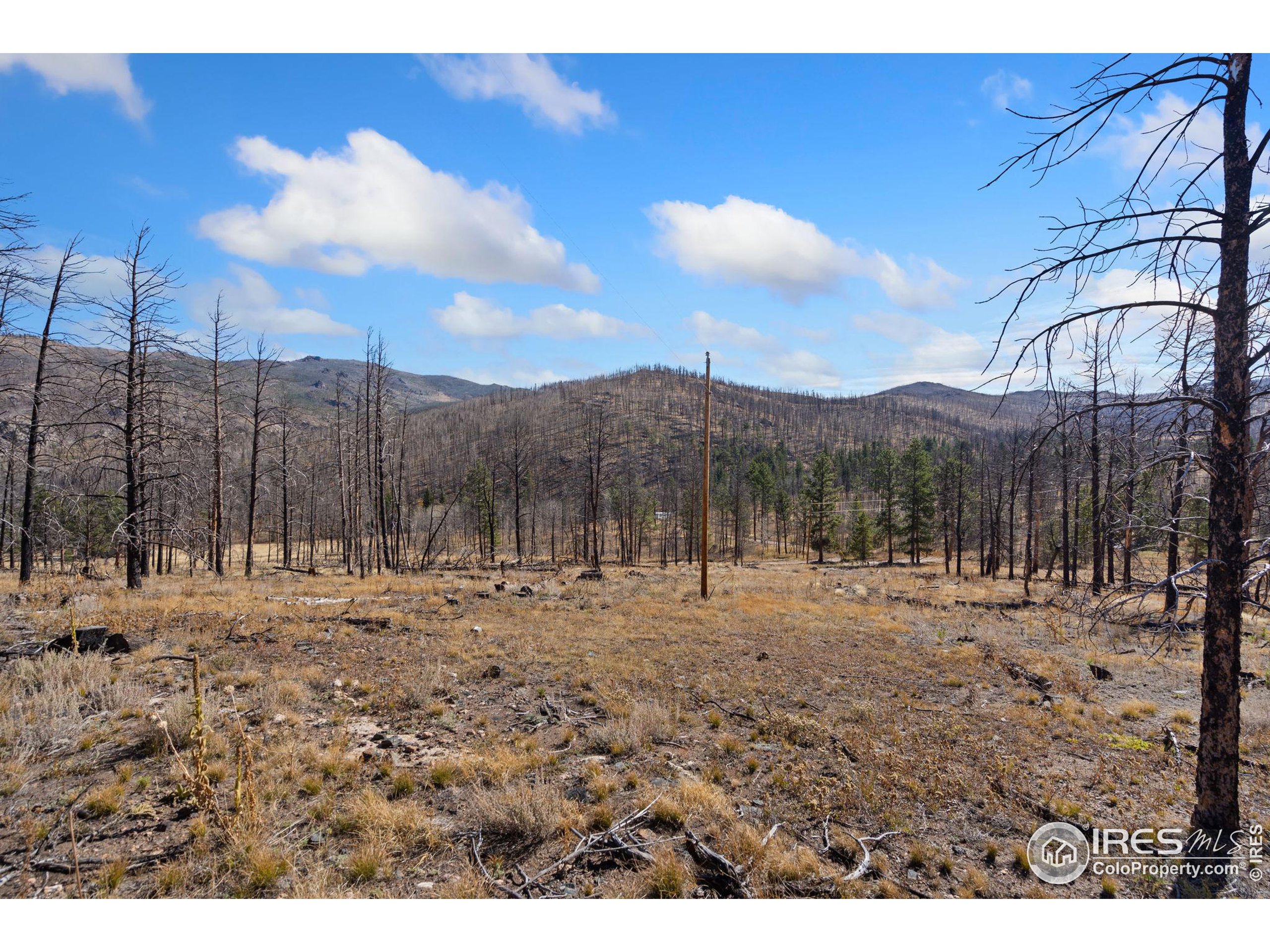 715 Monument Gulch Way