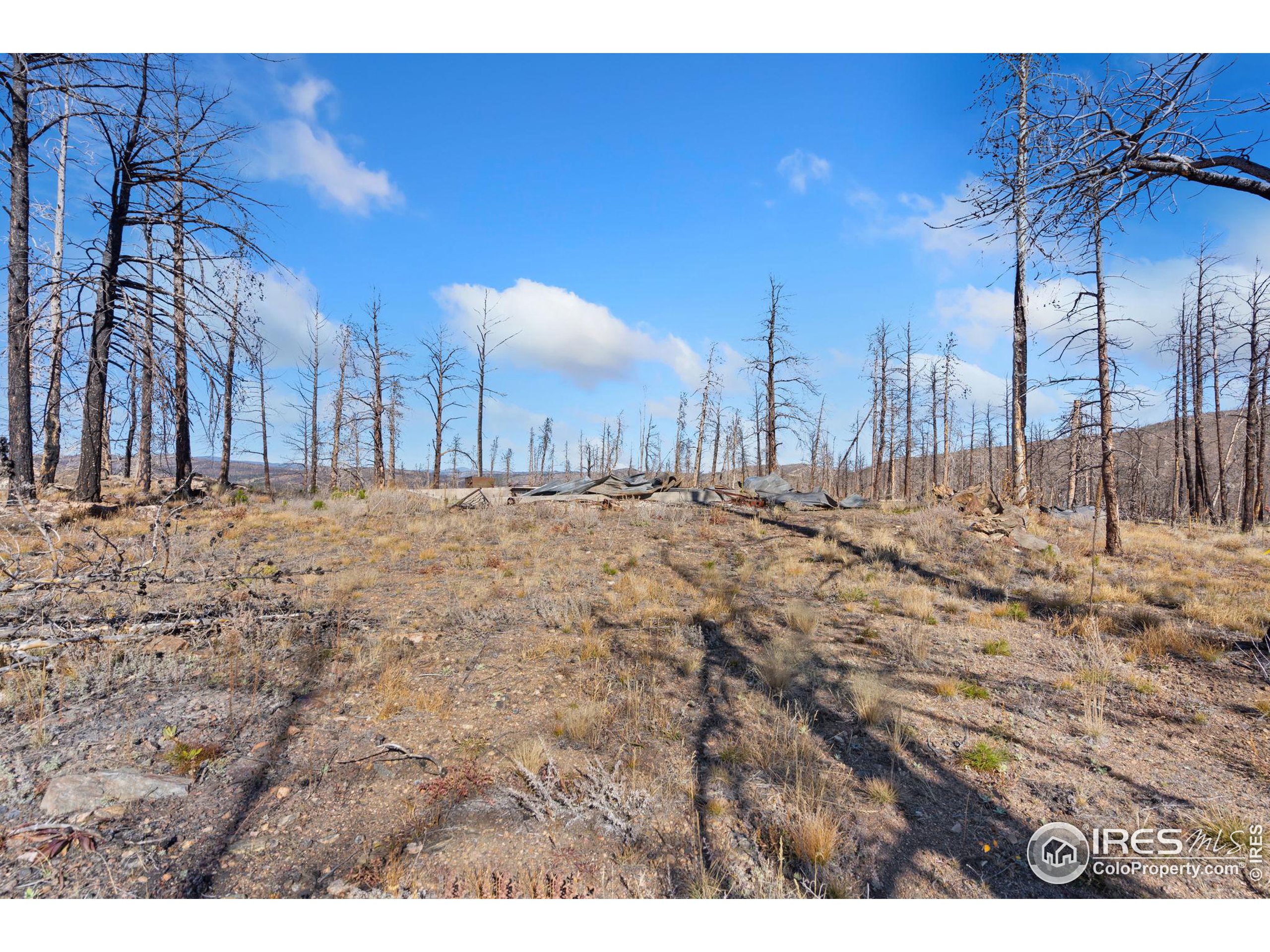 715 Monument Gulch Way