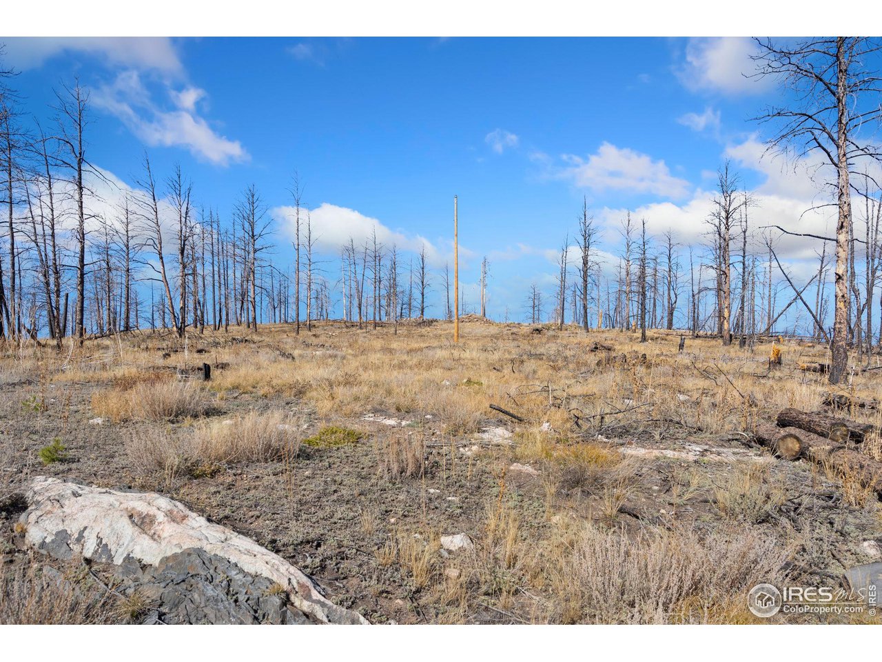 715 Monument Gulch Way