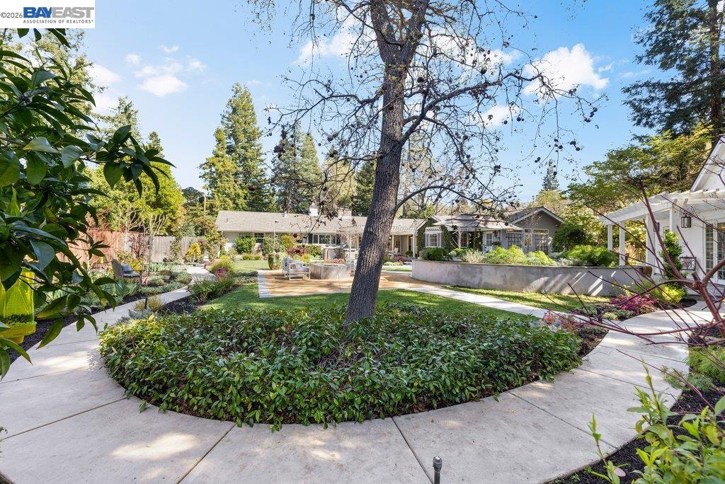 1397 Pine Tree Dr