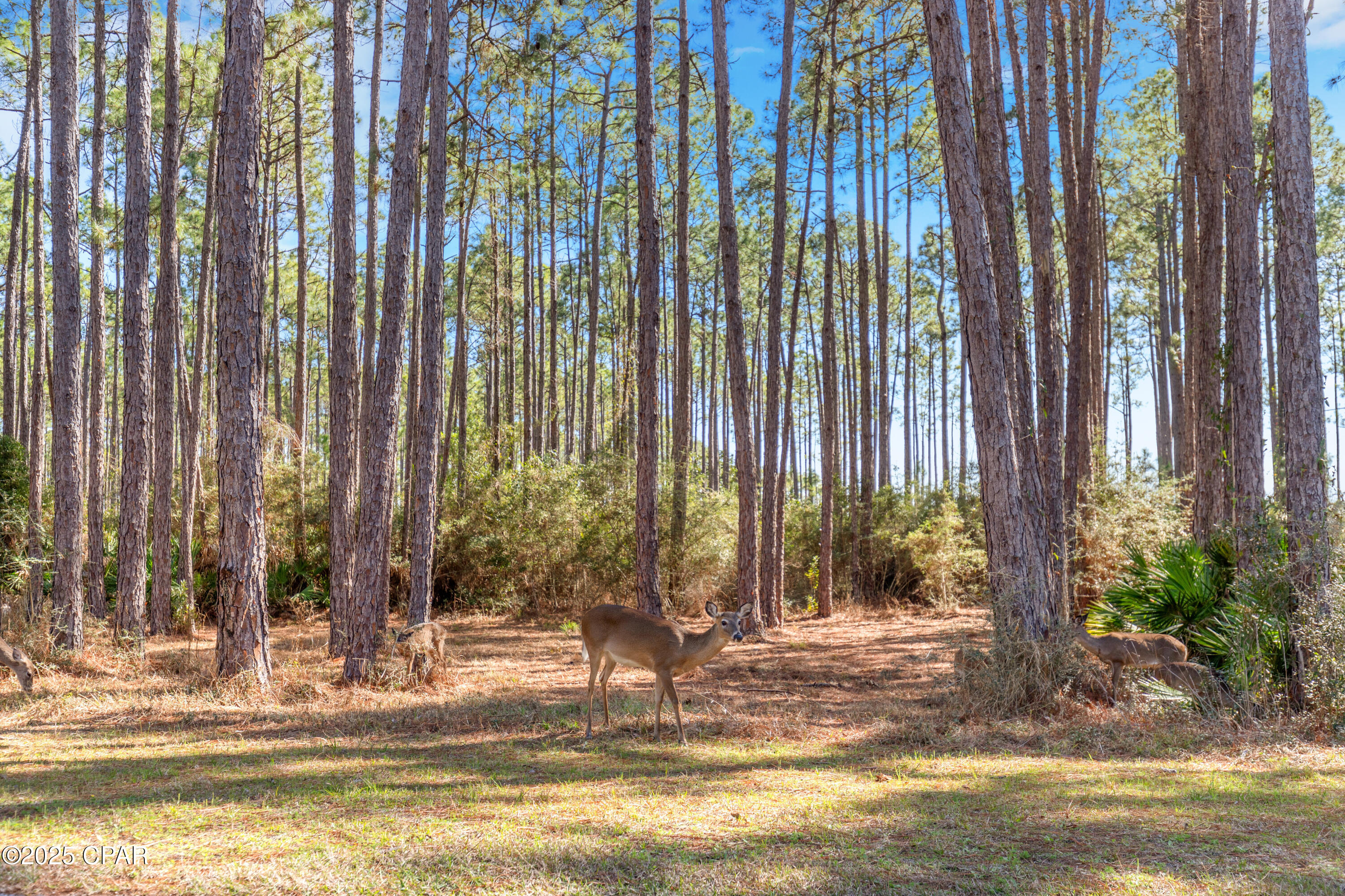 6510 W Sundew Marsh Trail Lot 61