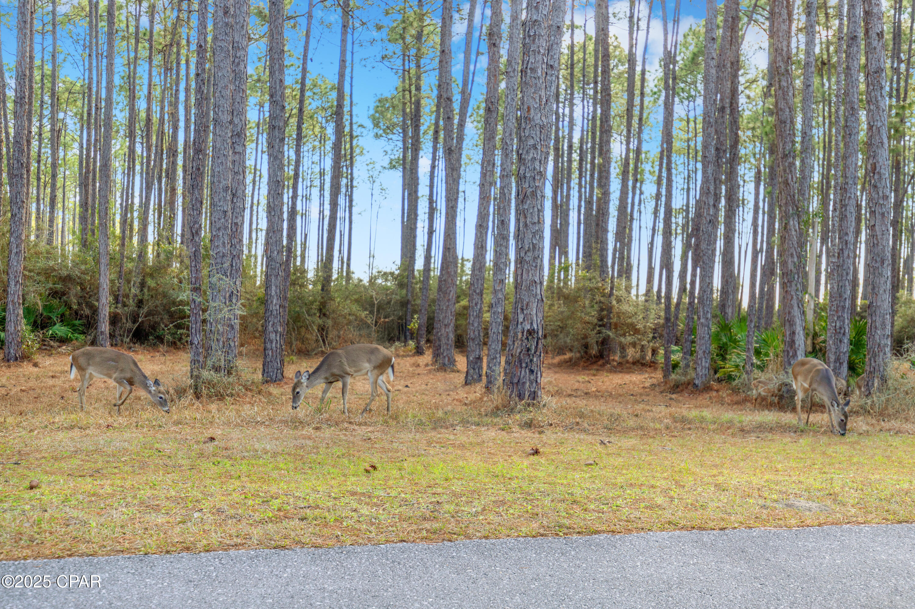6510 W Sundew Marsh Trail Lot 61