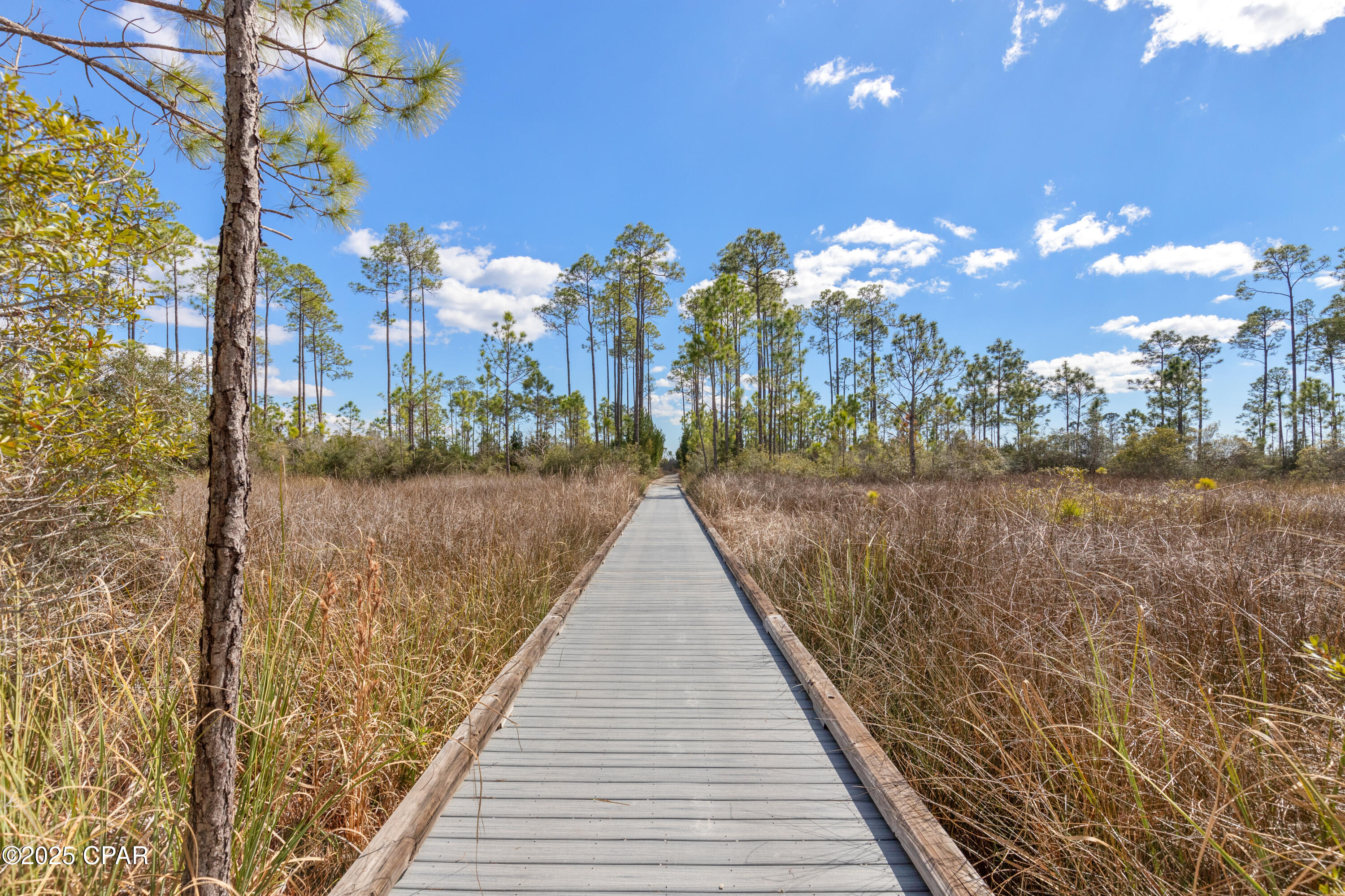 6510 W Sundew Marsh Trail Lot 61