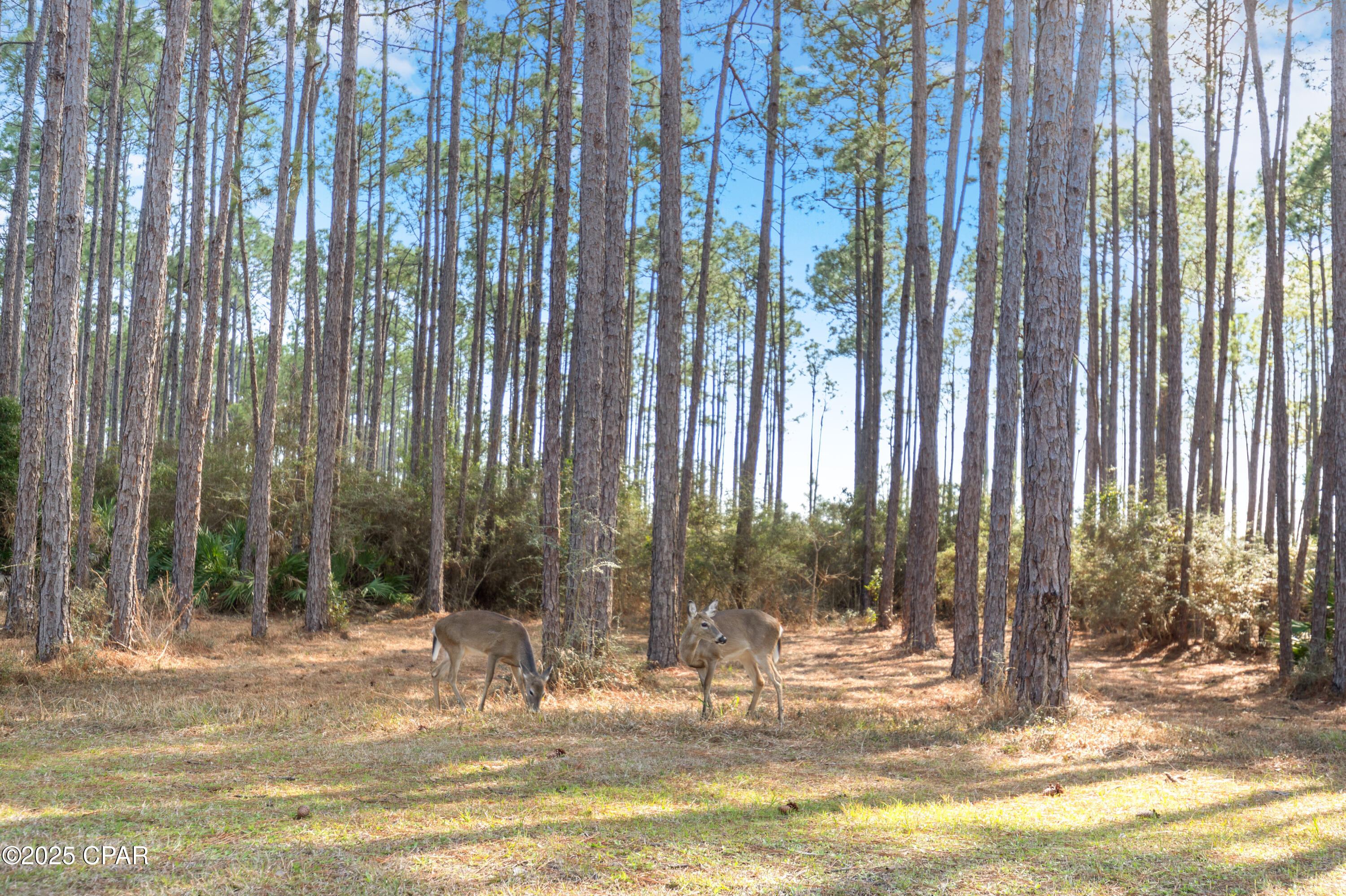 6510 W Sundew Marsh Trail Lot 61