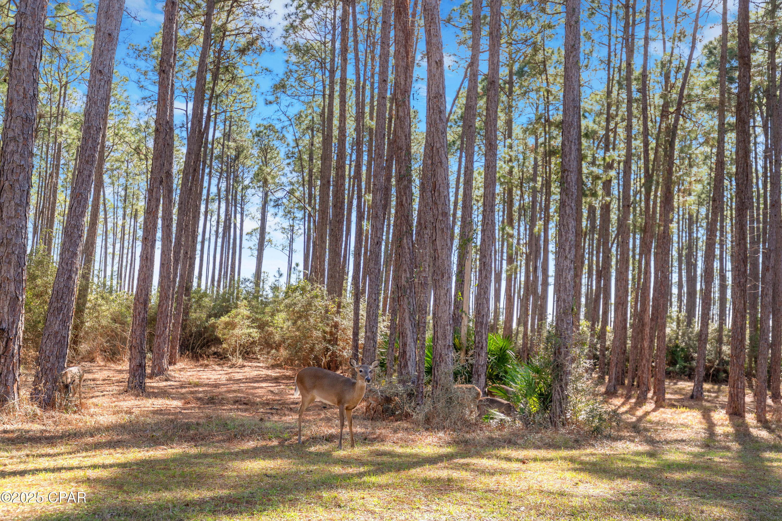 6510 W Sundew Marsh Trail Lot 61