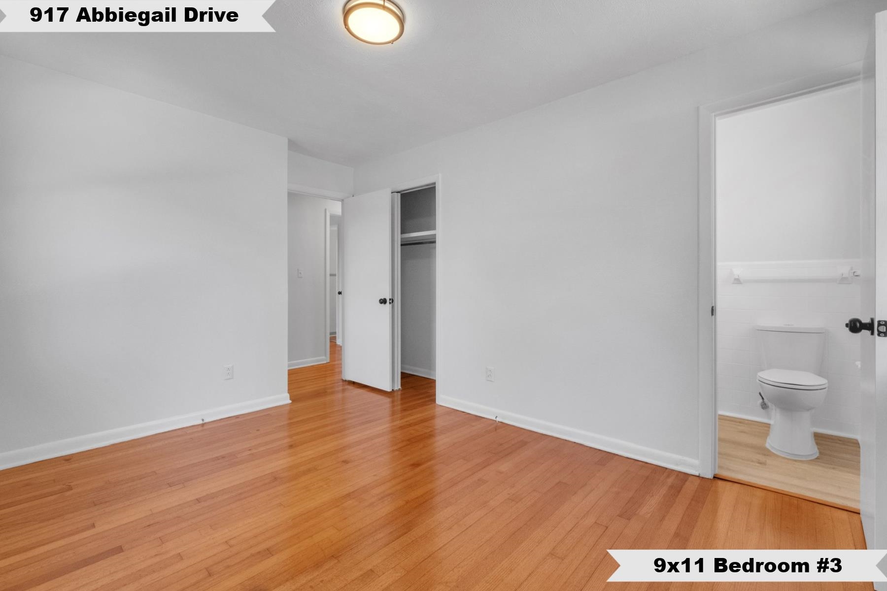 917 Abbiegail Drive