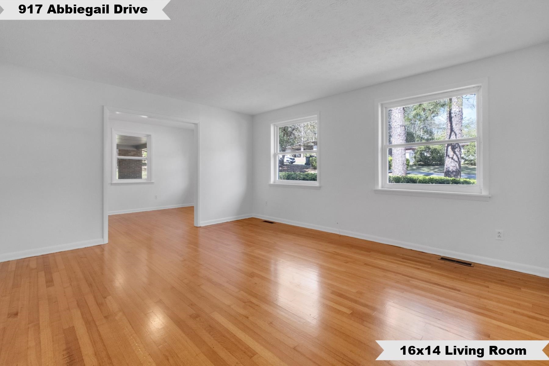 917 Abbiegail Drive