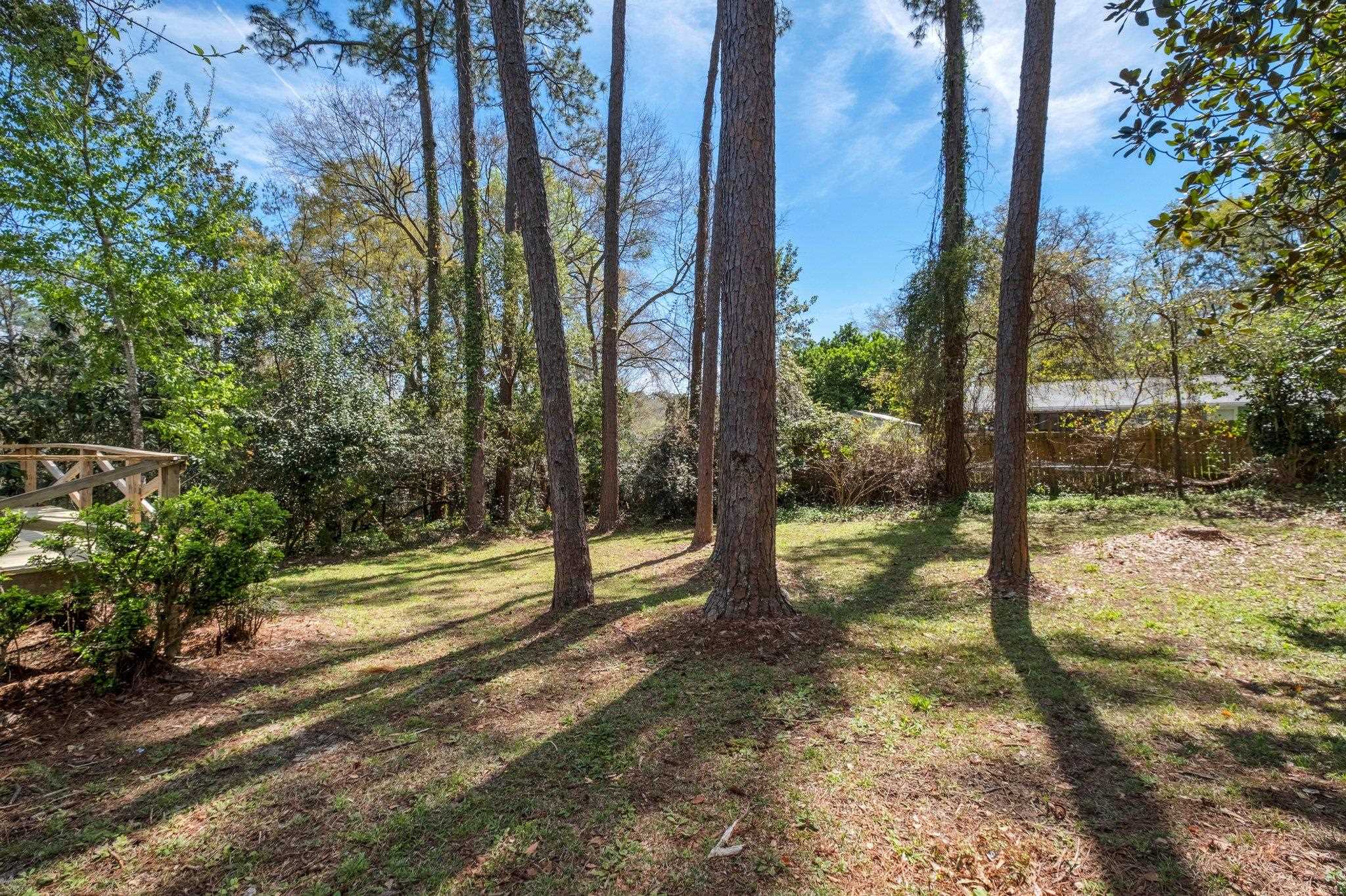 917 Abbiegail Drive