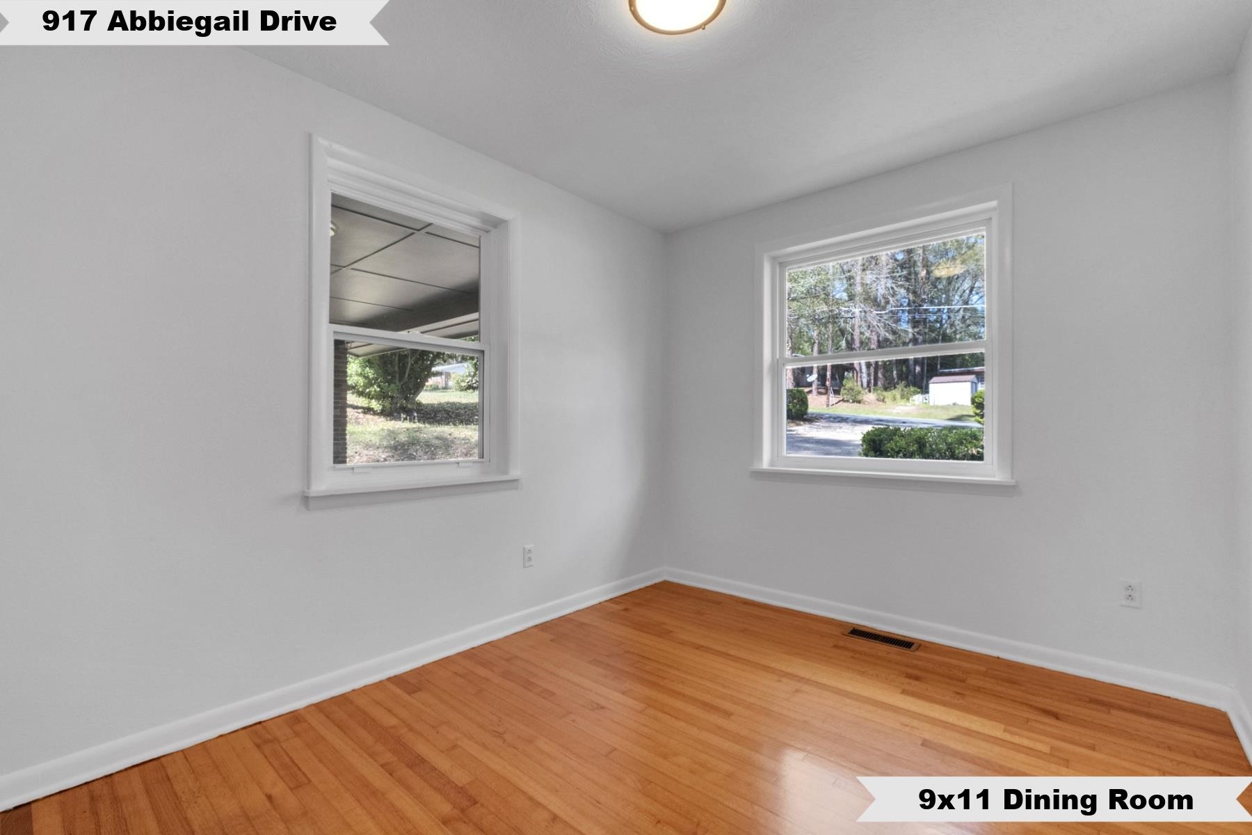 917 Abbiegail Drive