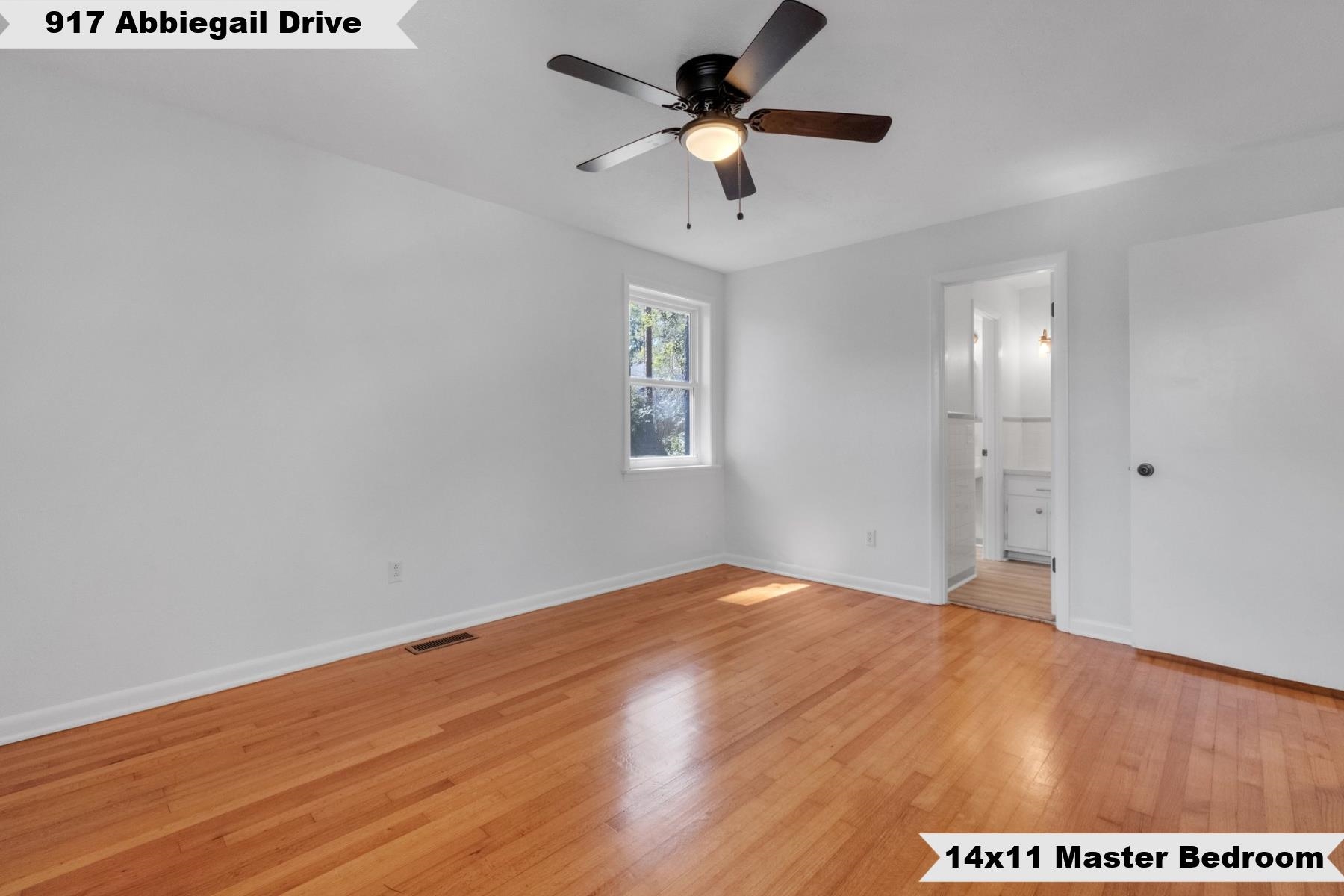 917 Abbiegail Drive
