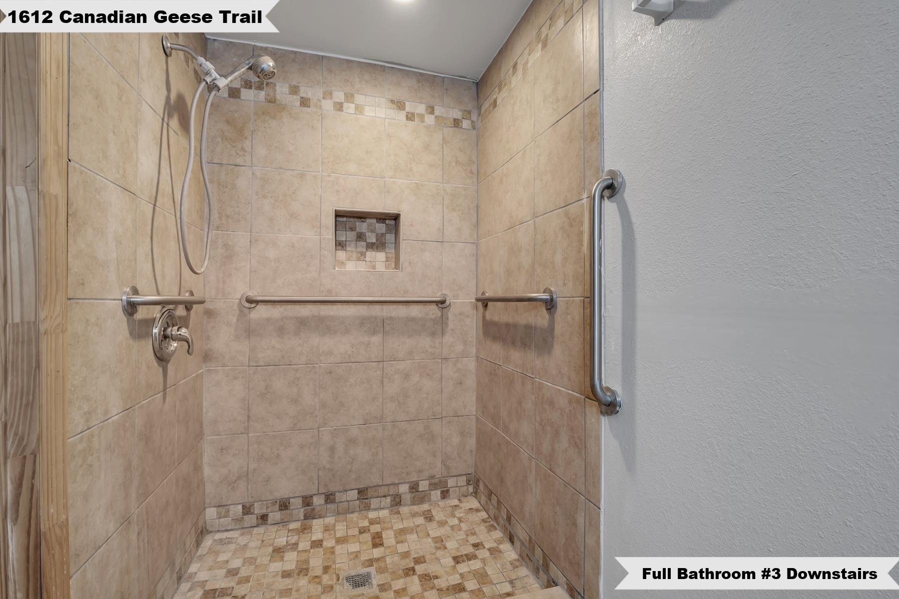 1612 Canadian Geese Trail