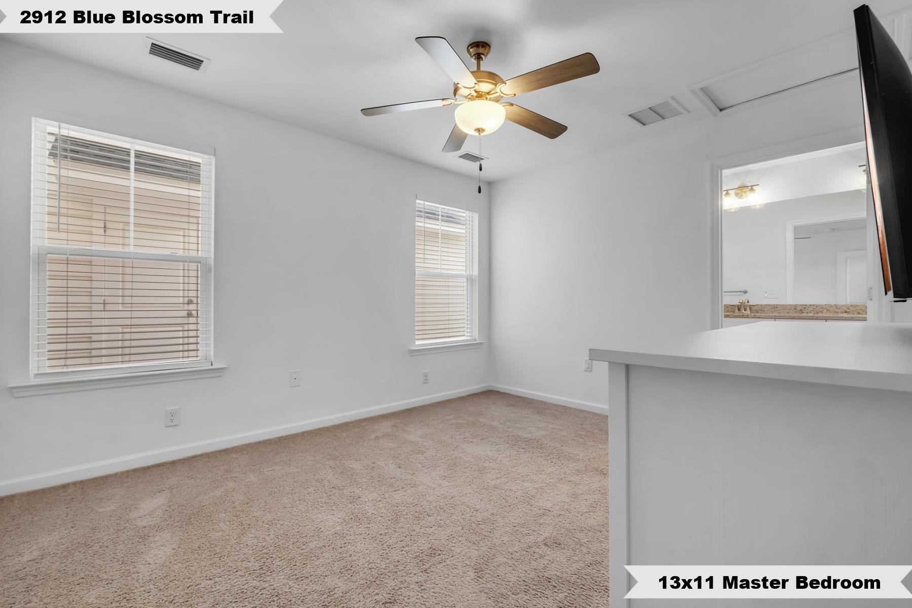 2912 Blue Blossom Trail