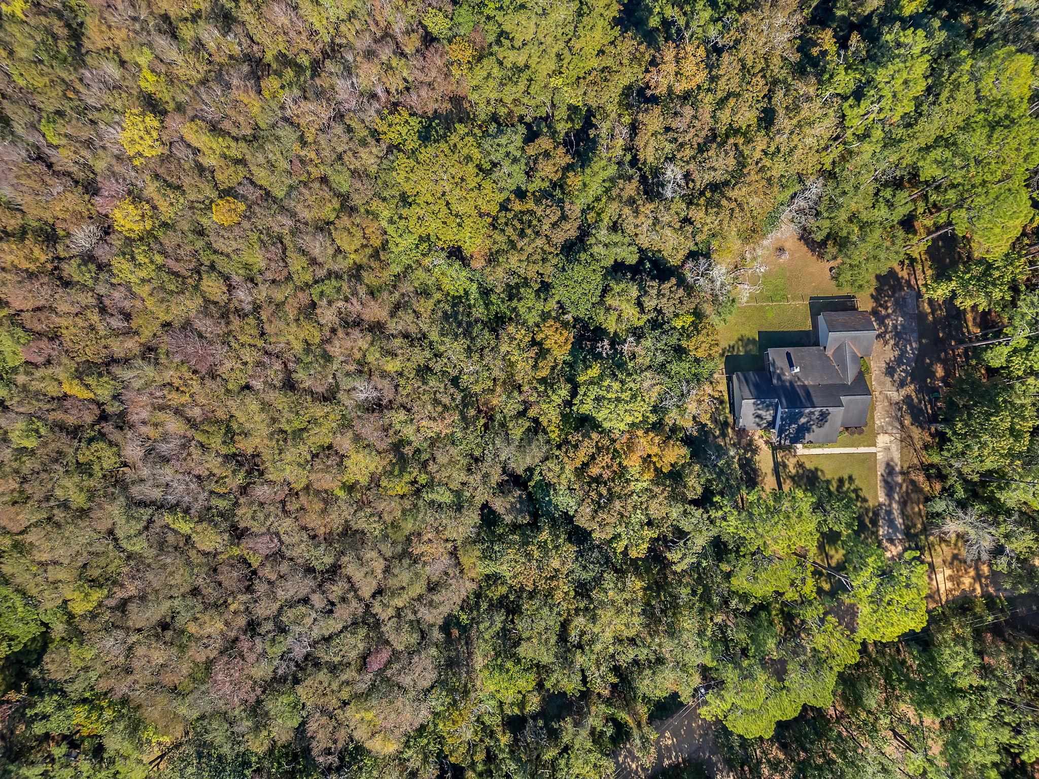 5758 Dayflower Circle