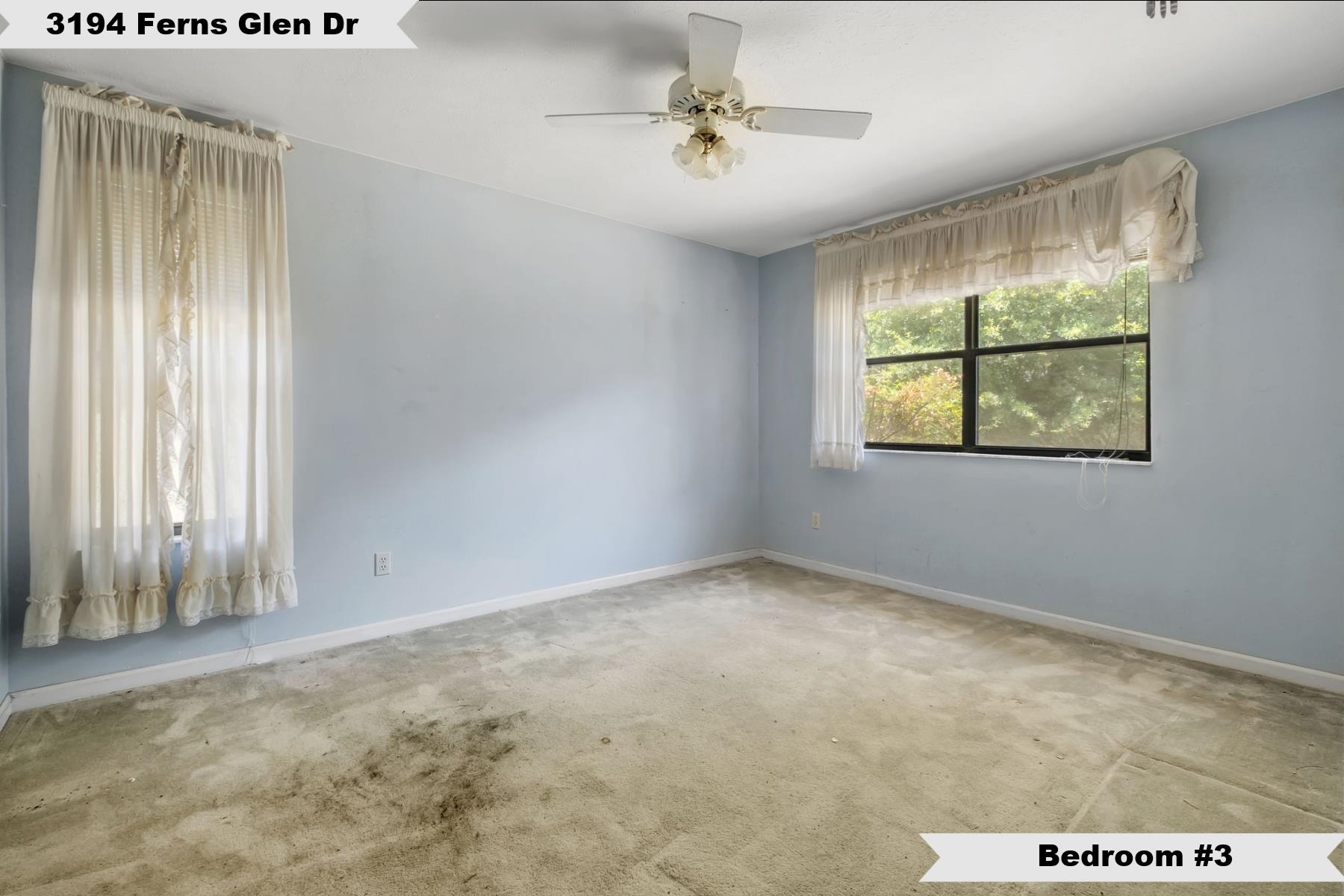 3194 Ferns Glen Drive