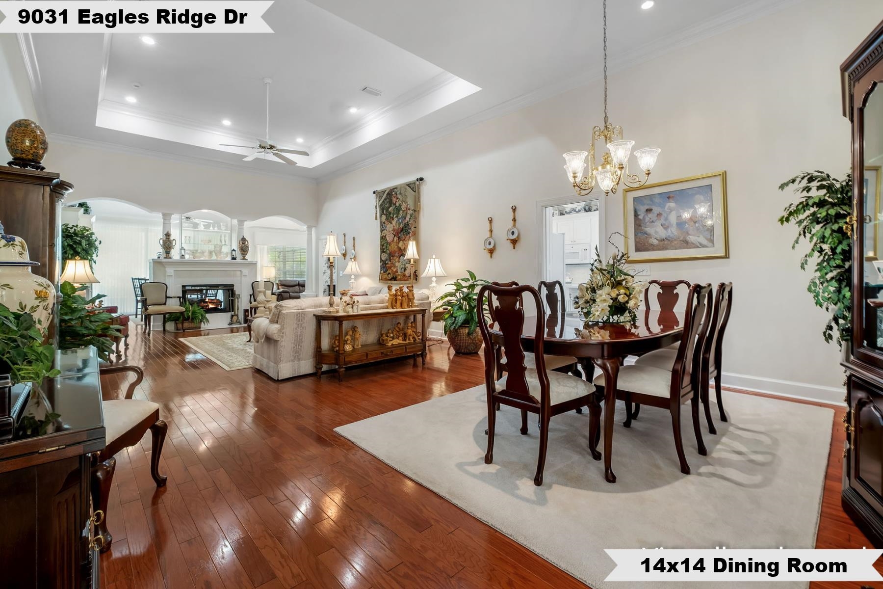 9031 Eagles Ridge Drive