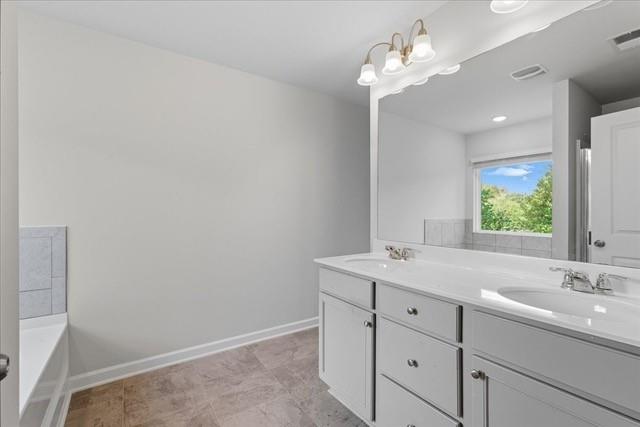 Bathroom with a long white double-sink vanity, large mirror, and bathtub edge.