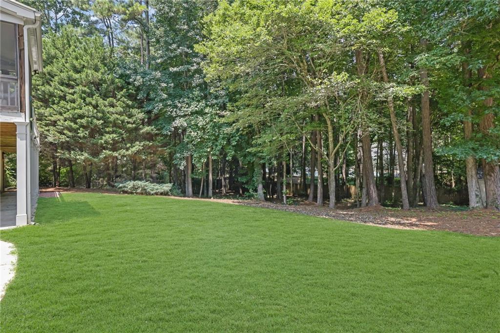 Backyard lawn bordered by mature trees and dense woodland.