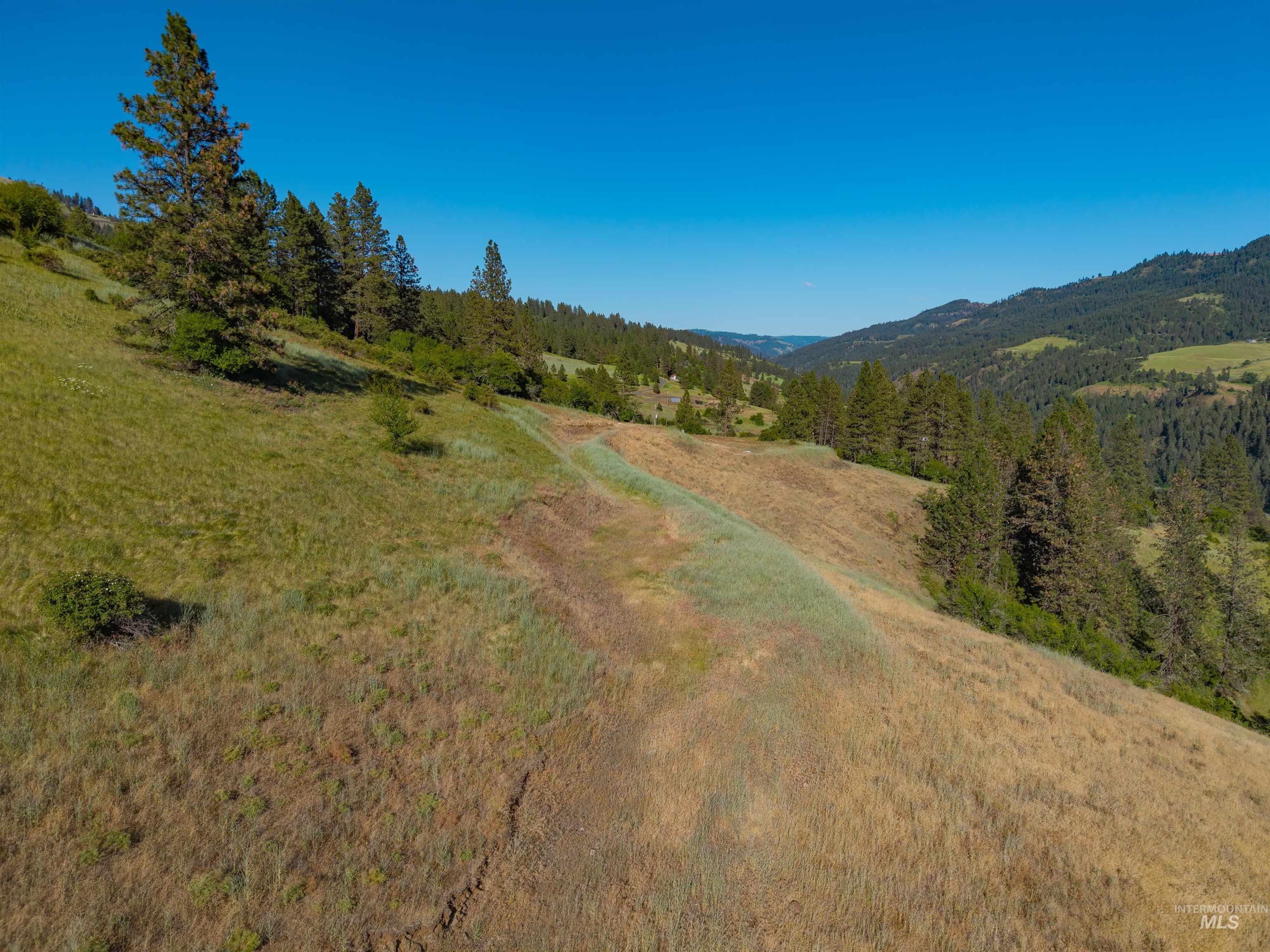 618 Old Peck Grade