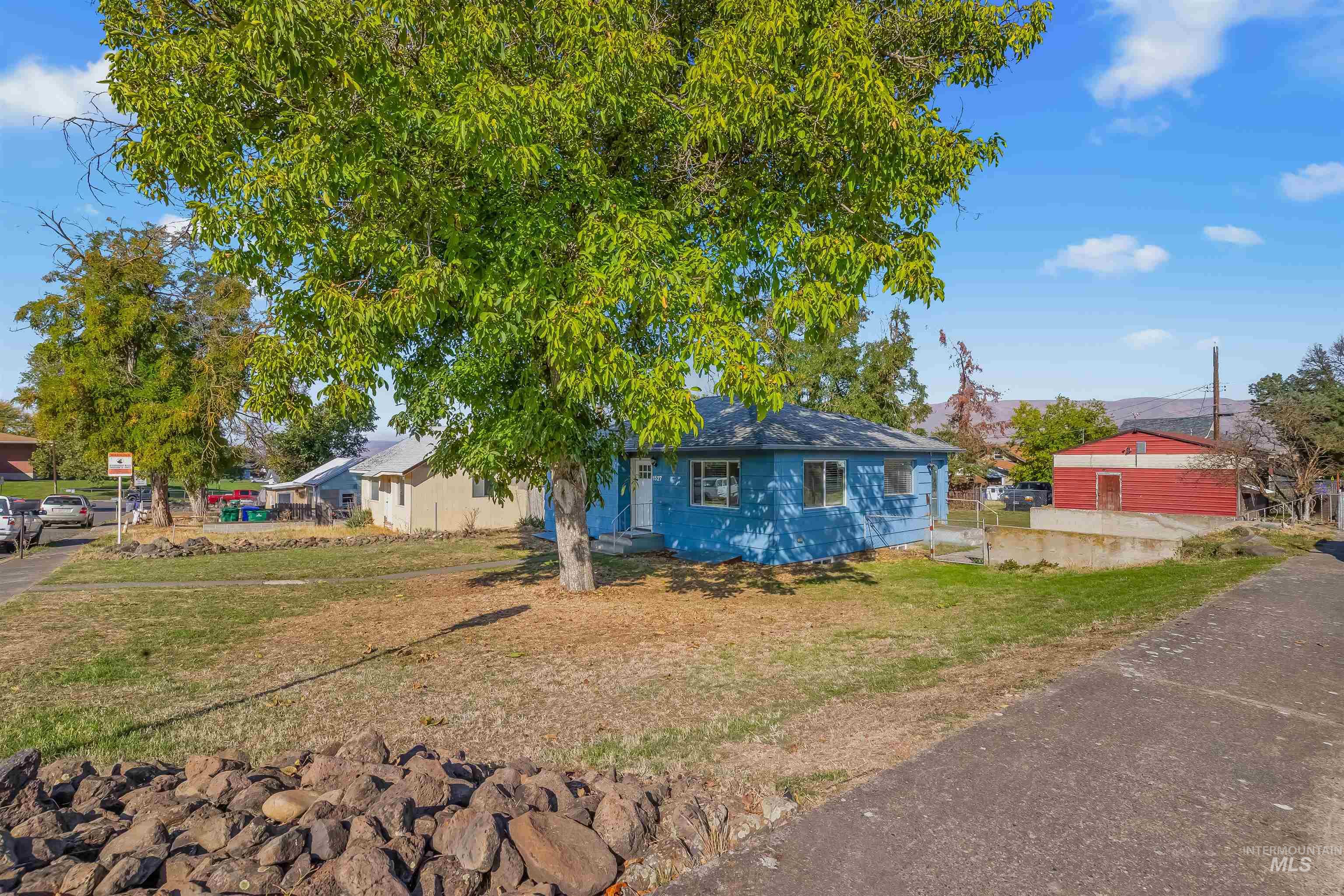 Blue single-story house beneath a large leafy tree, with a rock border along the front yard.