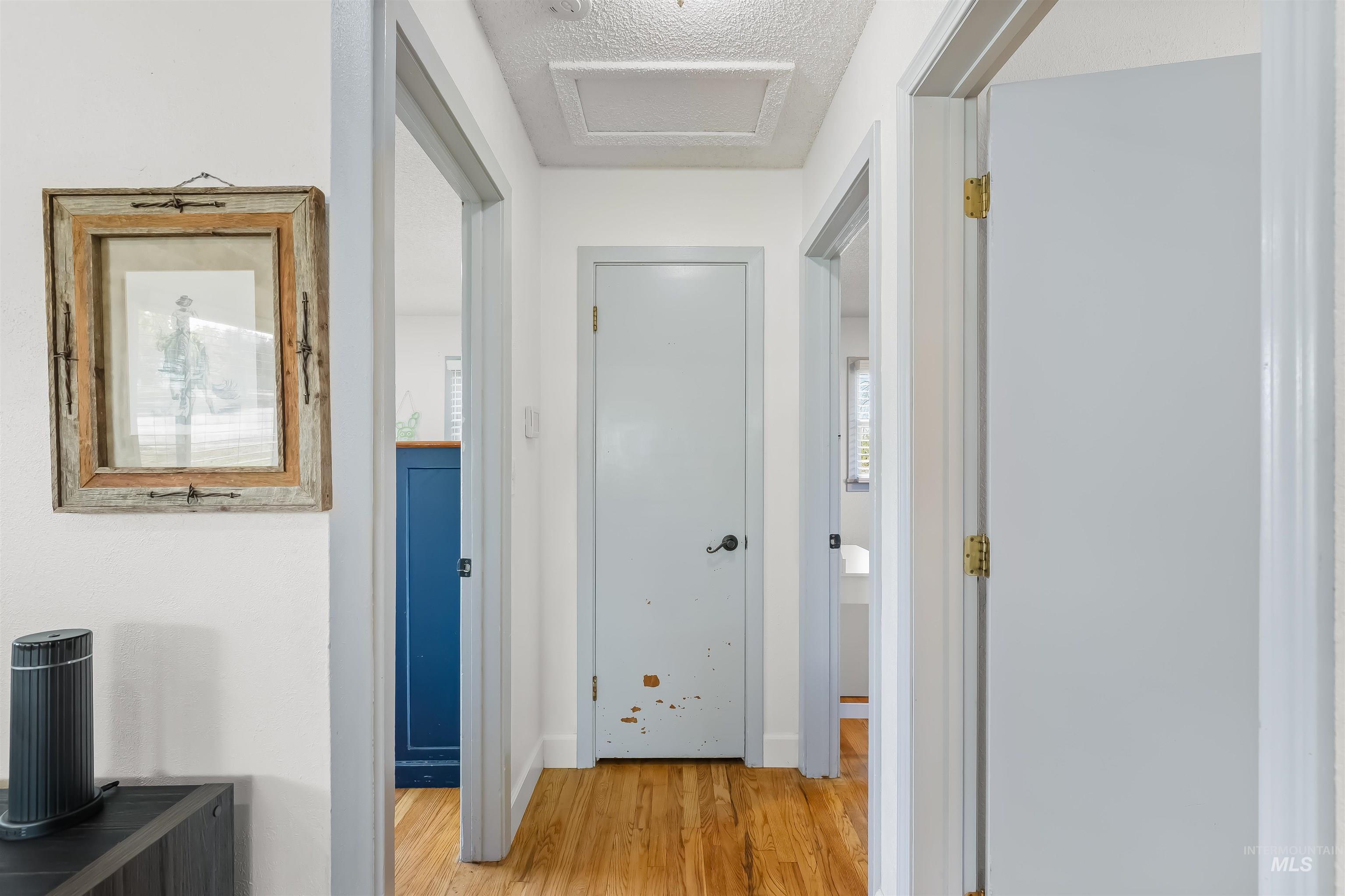 Hallway with hardwood floors, framed wall art, and a gray door with chipped paint.
