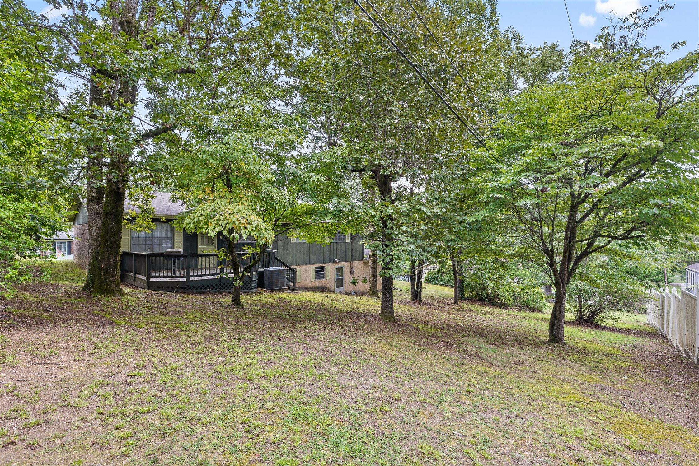 538 Tree Top Lane