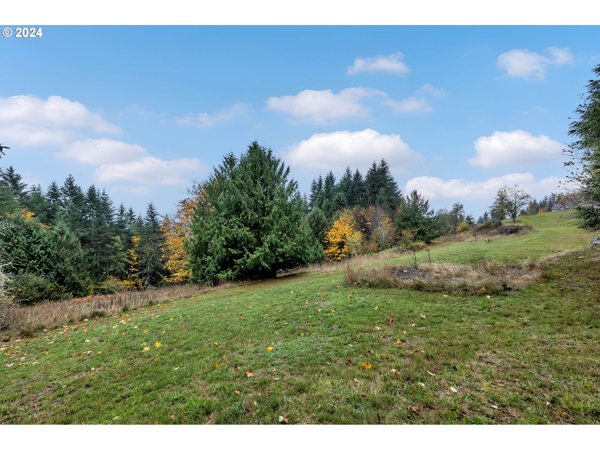 206 MARTIN RD