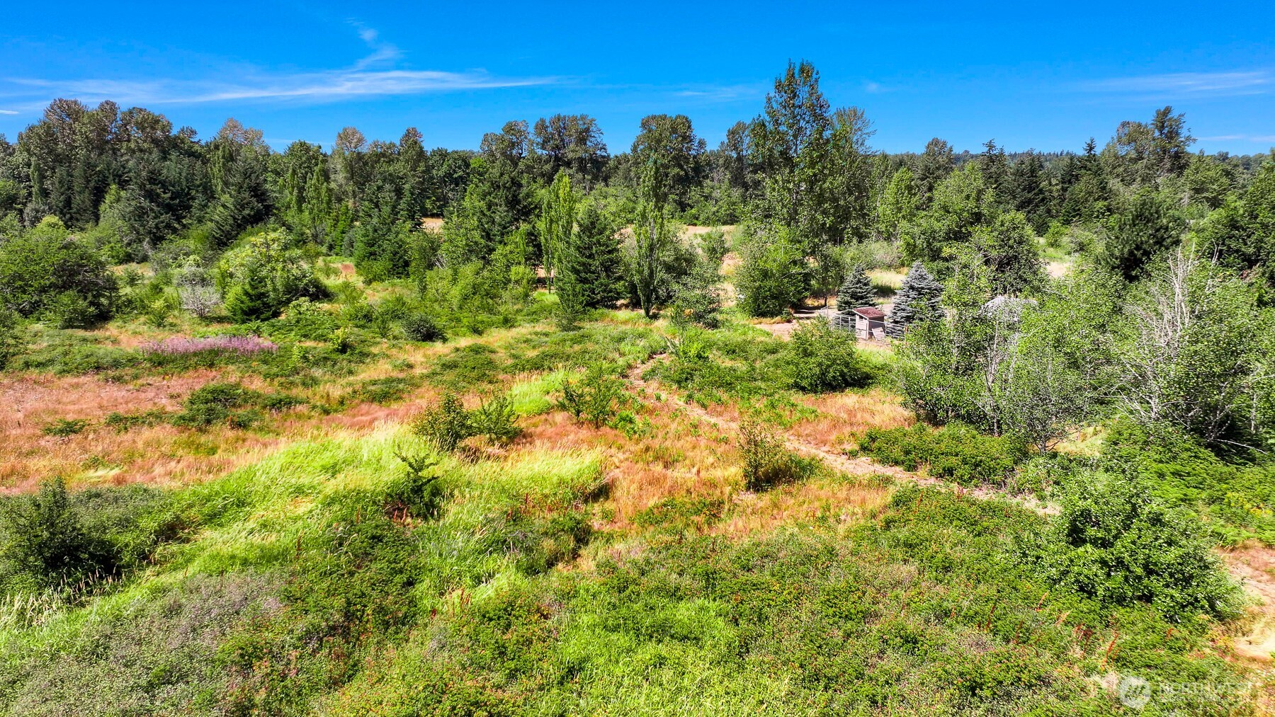 2802 Mt Baker Hwy